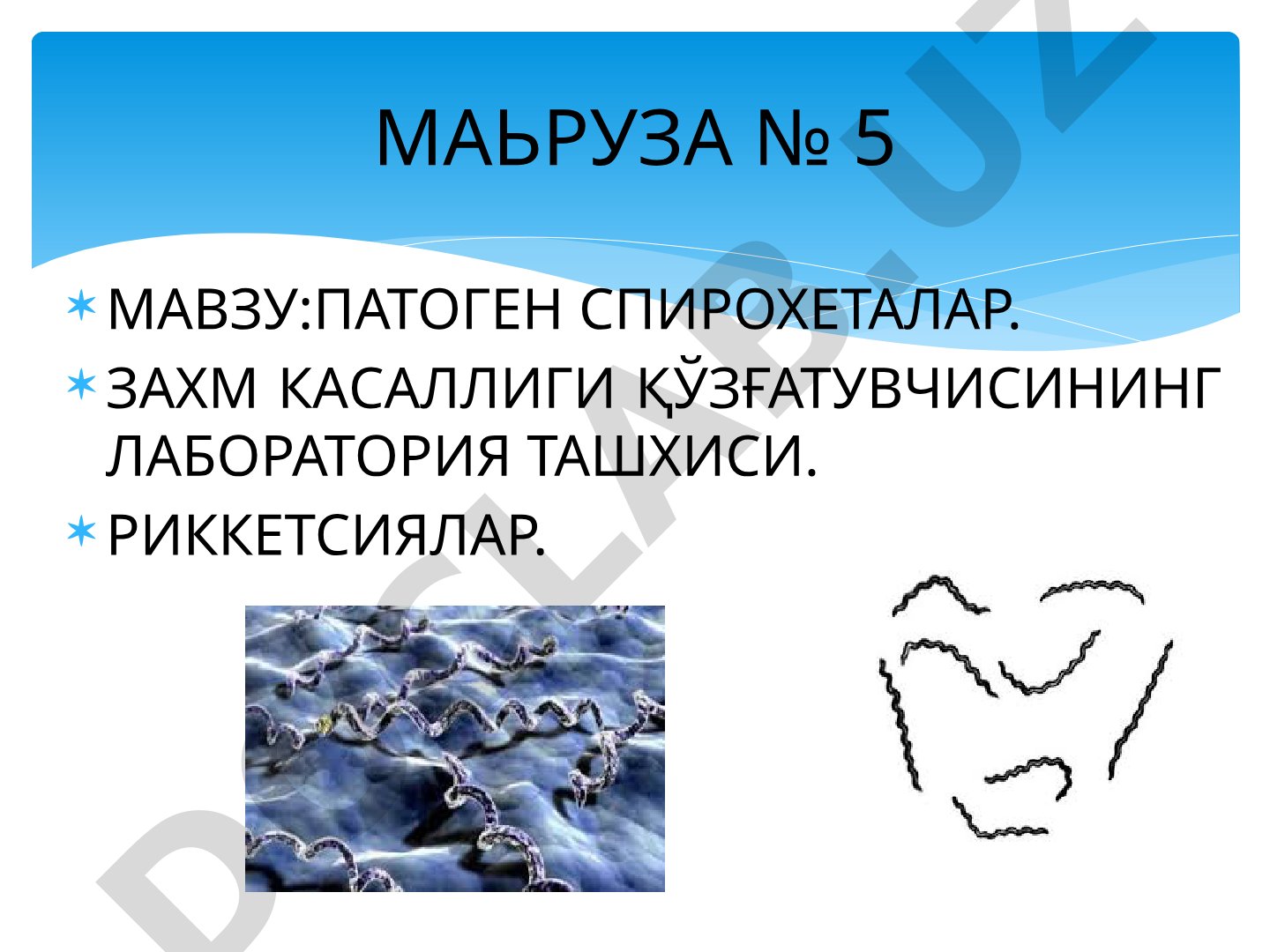 Патоген спирохеталар. Захм касаллиги қўзғатувчисининг лаборатория ташхиси. Риккетсиялар