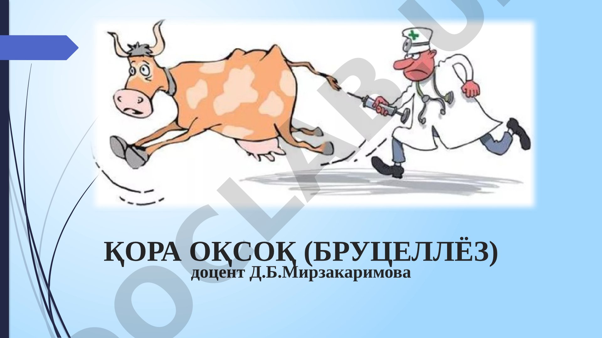 Қора оқсоқ (бруцеллёз)