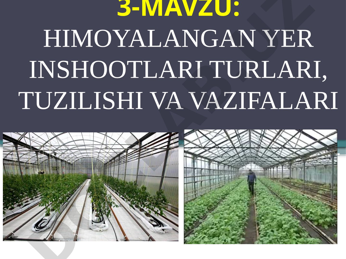 Himoyalangan yer inshootlari turlari, tuzilishi va vazifalari