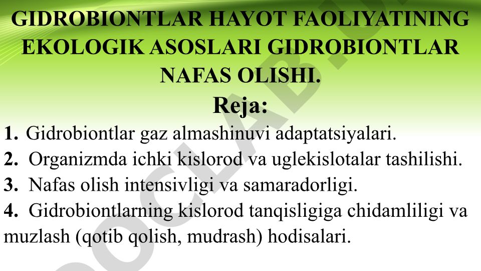 Gidrobiontlar hayot faoliyatining ekologik asoslari va nafas olishi