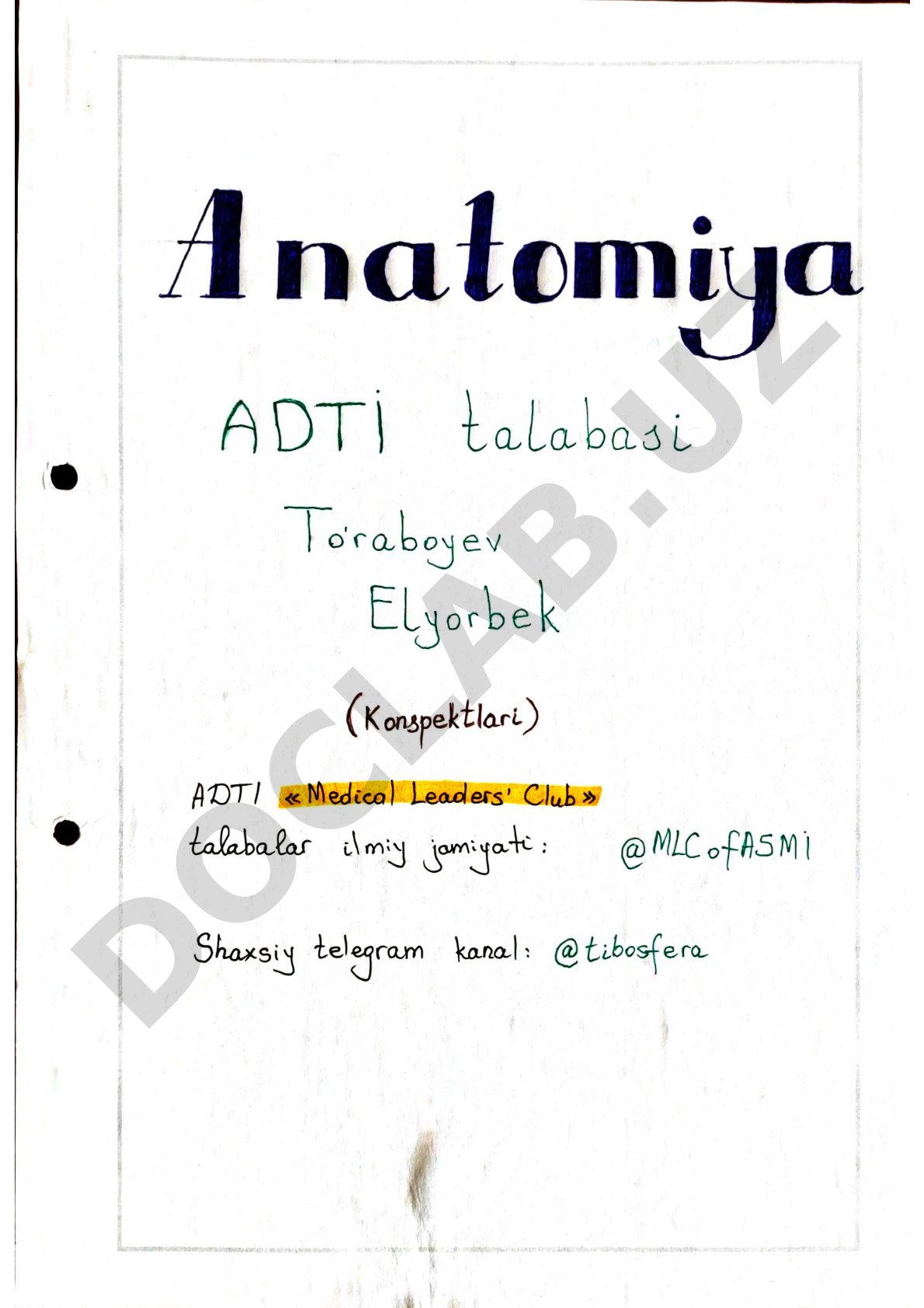 Blank PDF
