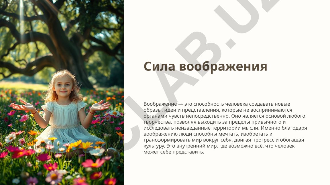 Сила воображения и творчество без границ