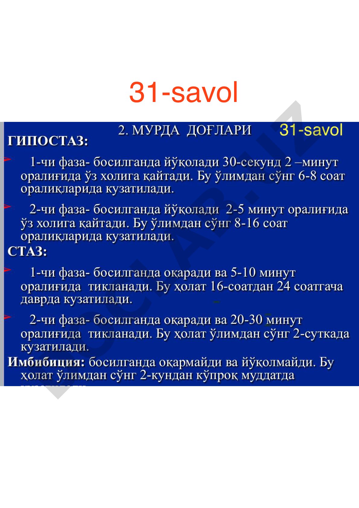 Mobile User 31-savol