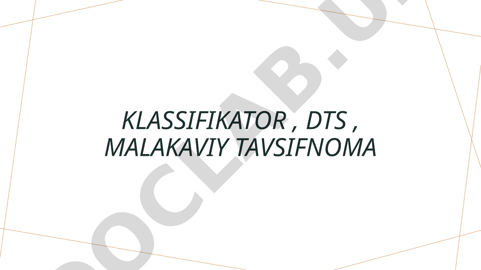 Klassifikator, DTS, malakaviy tavsifnoma