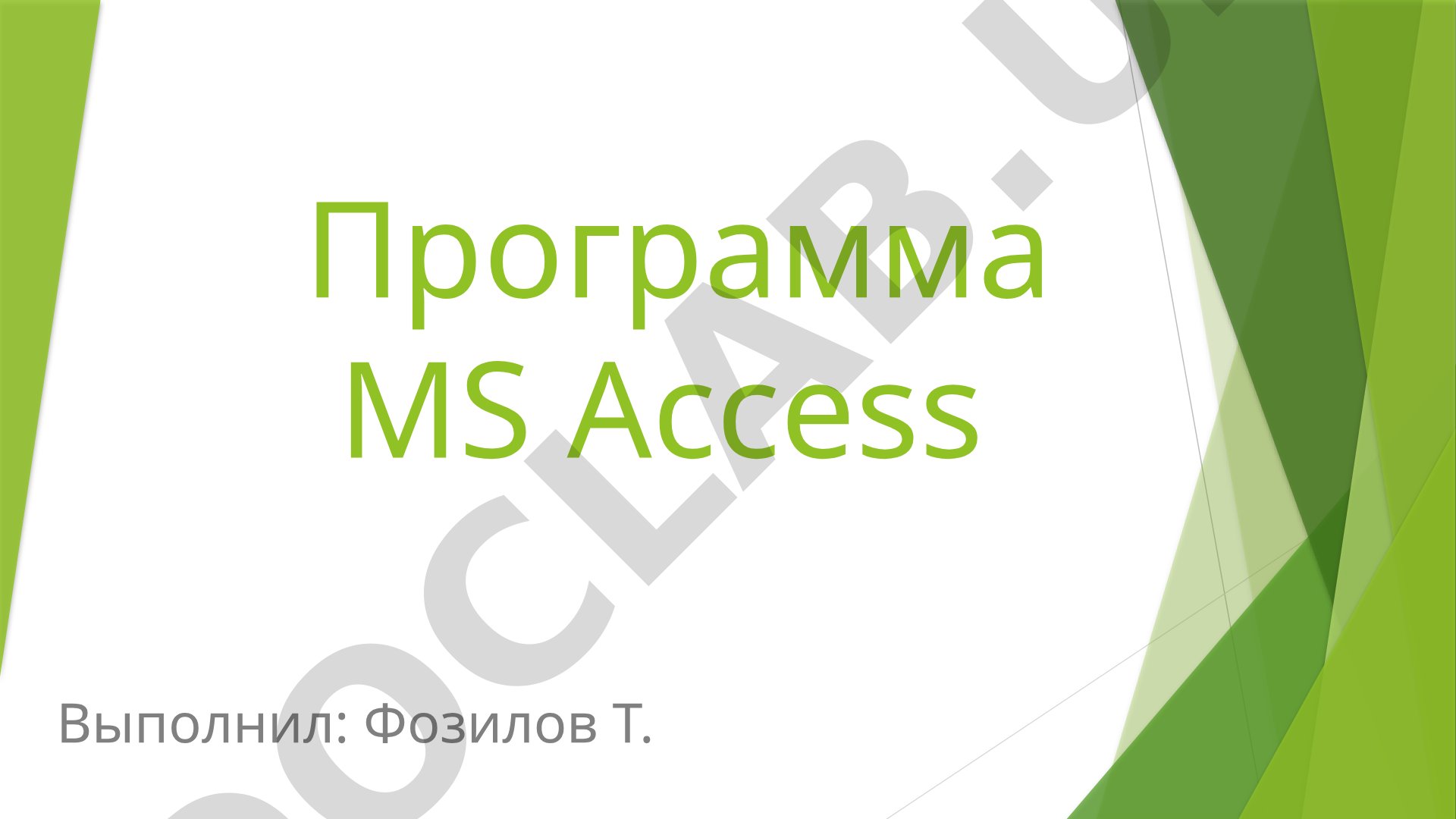Программа MS Access