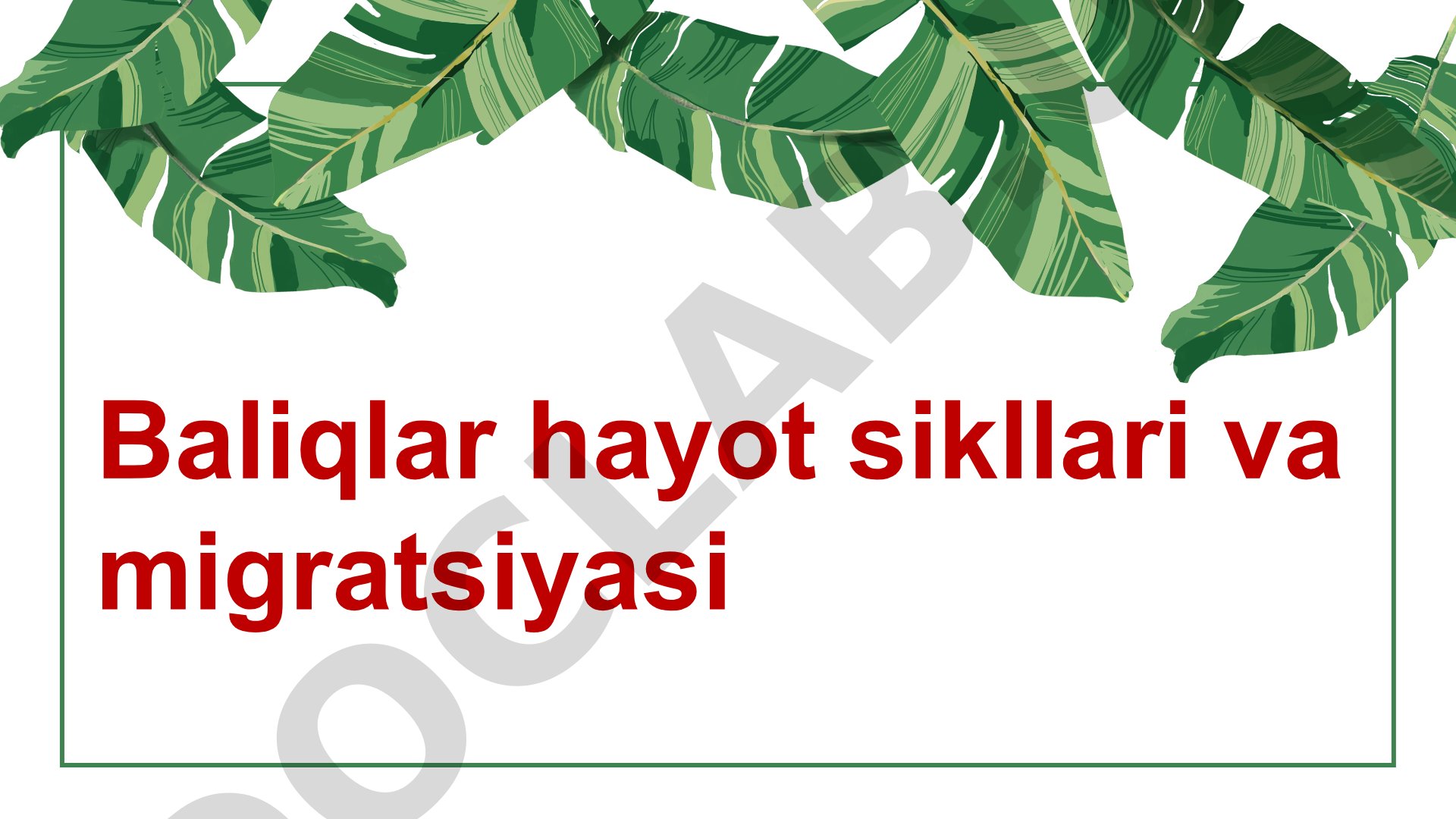 Baliqlar hayot sikllari va migratsiyasi