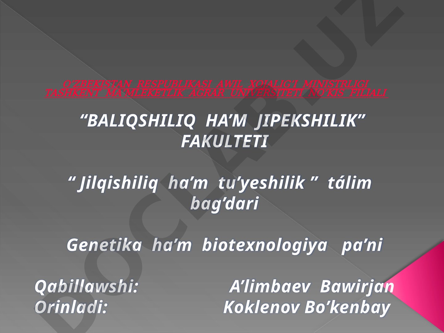 Kletka cikli