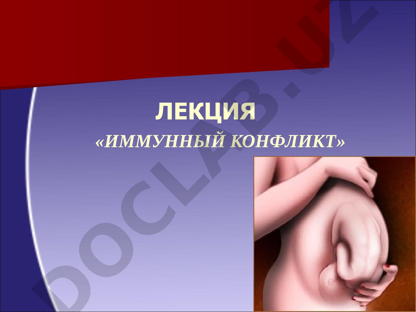 Иммунный конфликт