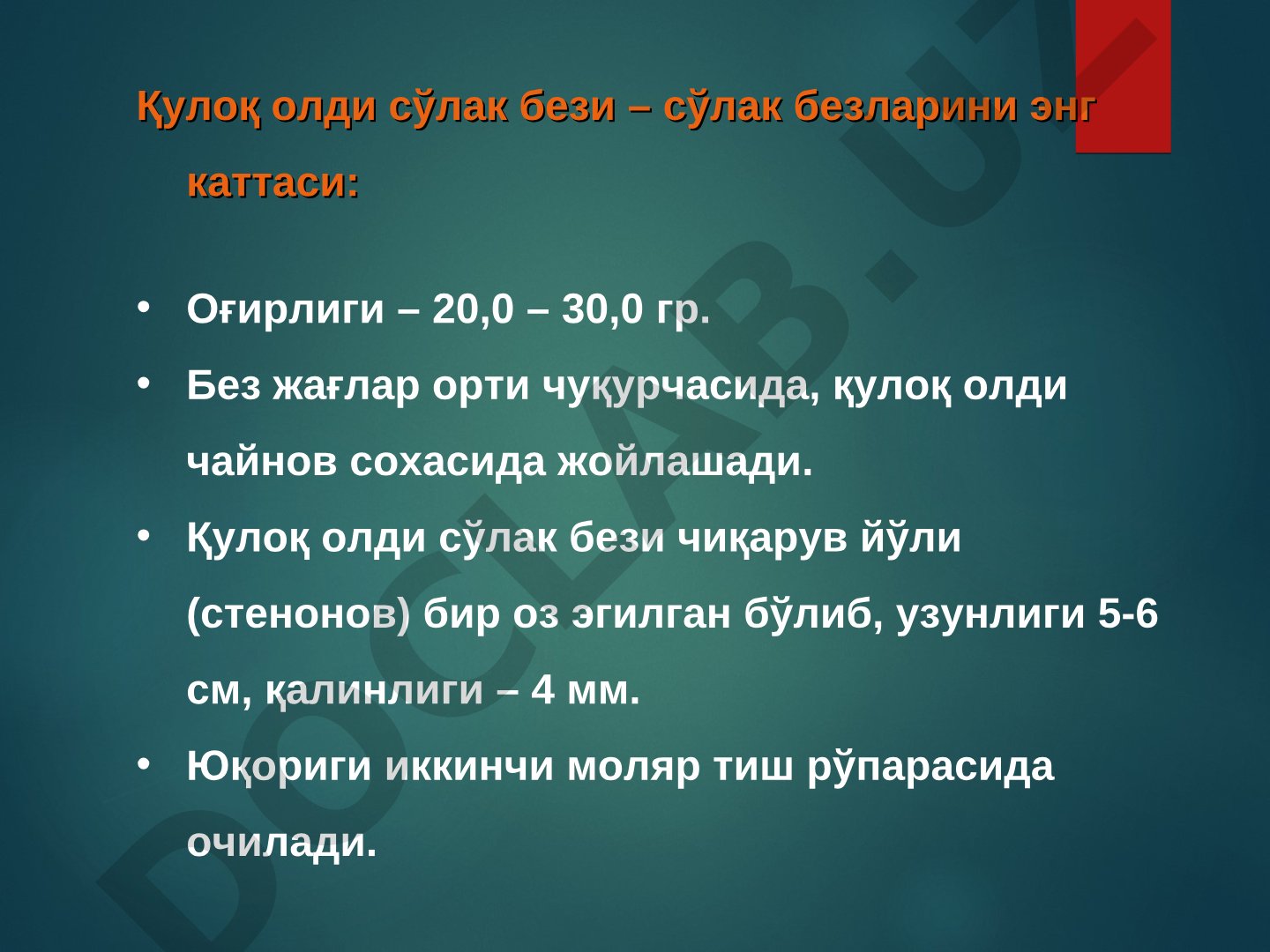 Сўлак безлари анатомияси ва ўткир сиаладенитлар