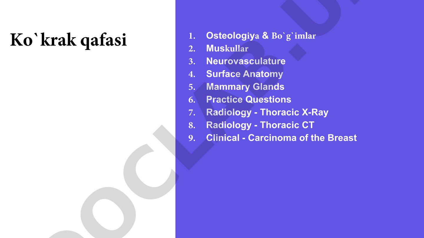 Thoracic Wall Anatomy and Osteology