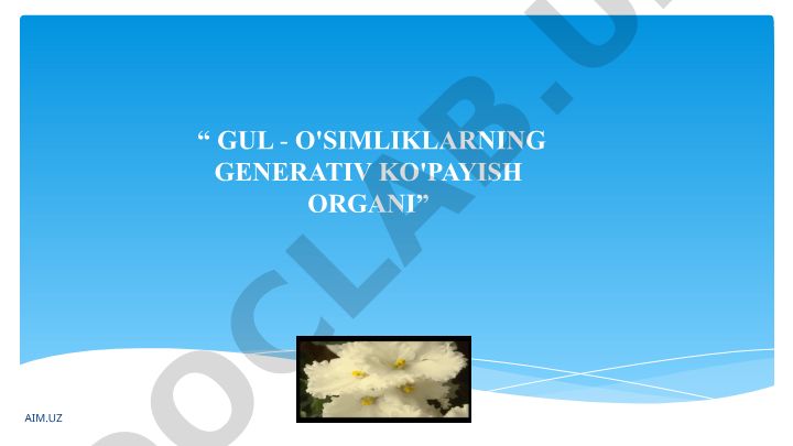 Gul - o'simliklarning generativ ko'payish organi