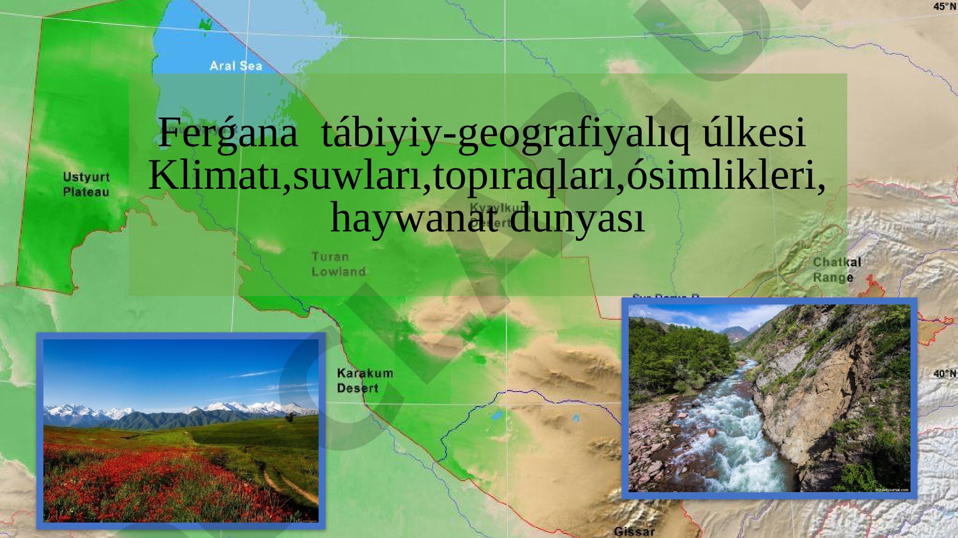 Ferǵana tábiyiy-geografiyalıq úlkesi: klimatı, suwları, topıraqları, ósimlikleri, haywanat dunyası