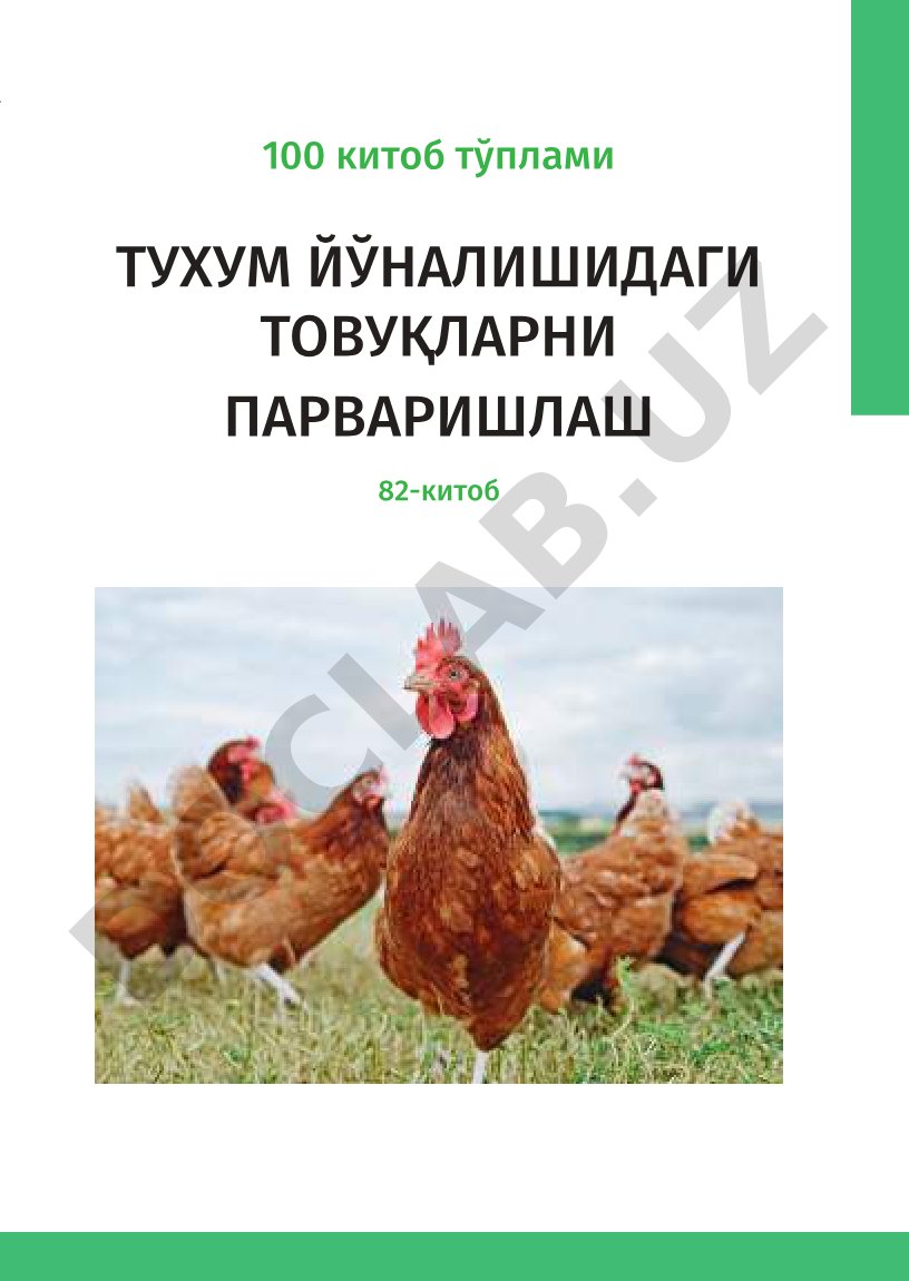 Тухум йўналишидаги товуқларни парваришлаш