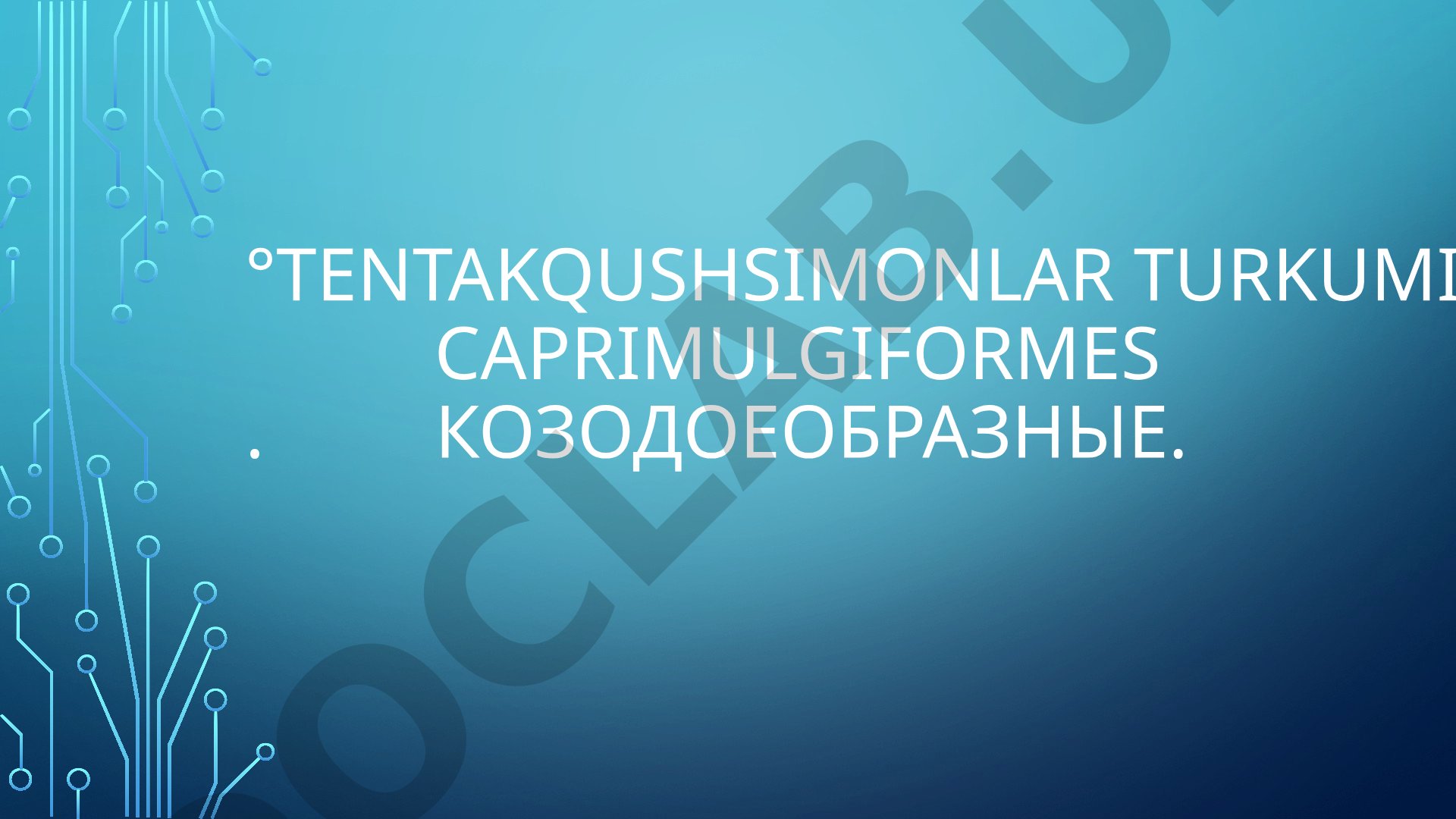 Tentakqushsimonlar turkumi Caprimulgiformes