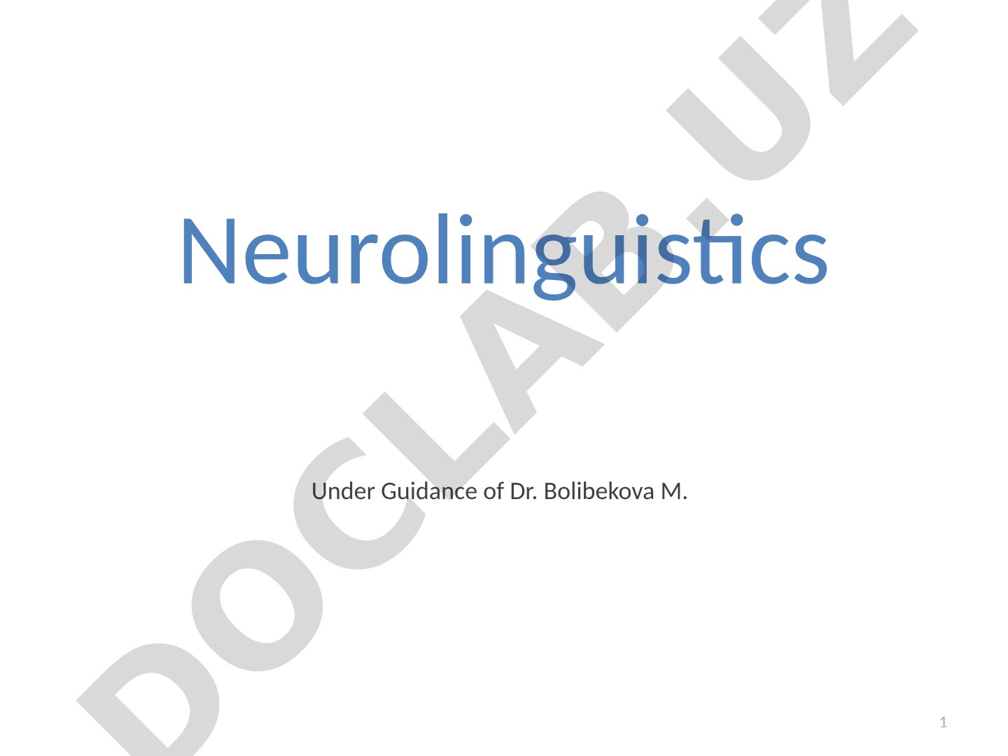 Overview of neurolinguistics: brain areas, neurobiology of language, cognitive
