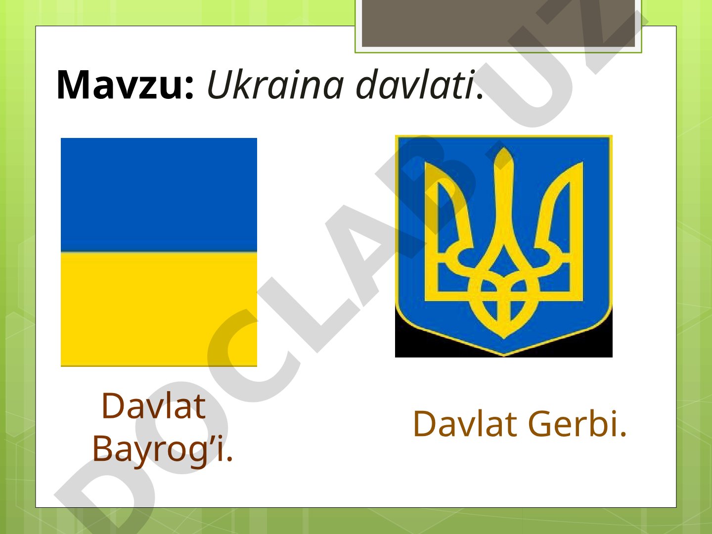 Ukraina davlati