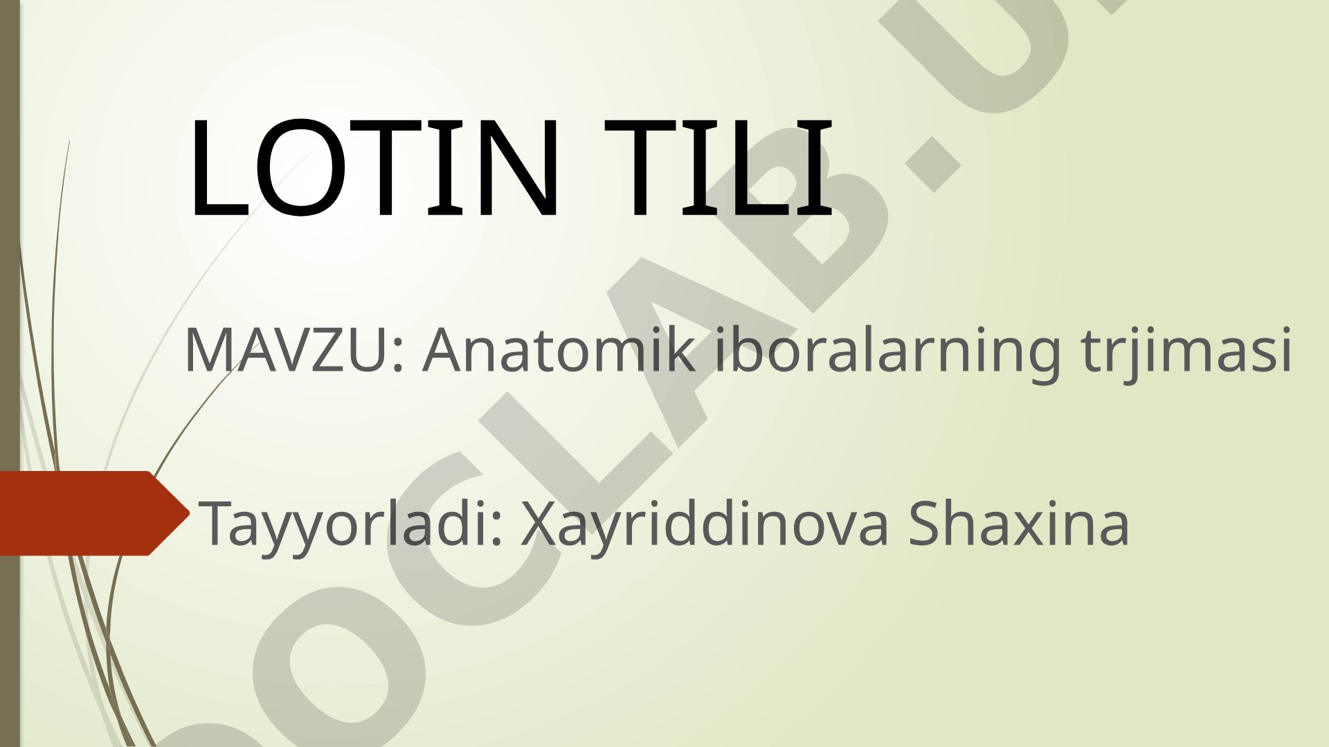 Anatomik iboralarning trjimasi