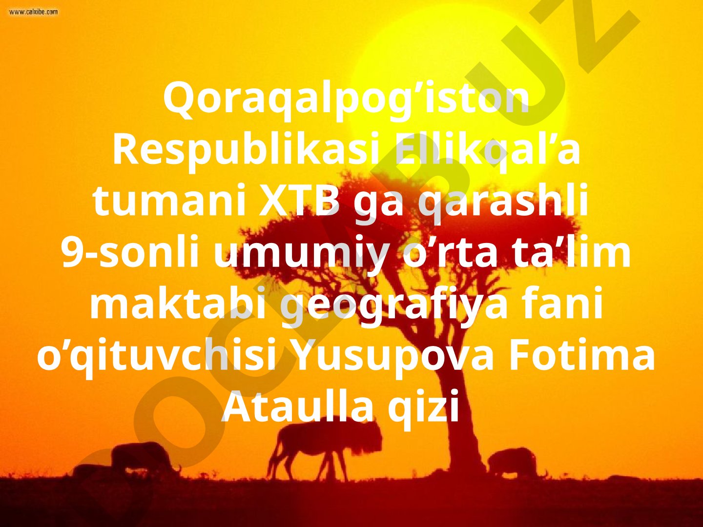Ekvatorial o'rmonlar va savannalar