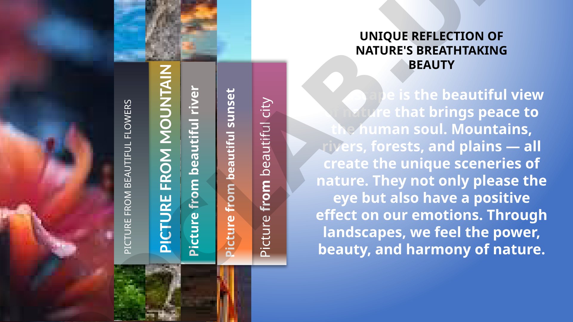 Unique Reflection of Nature's Breathtaking Beauty