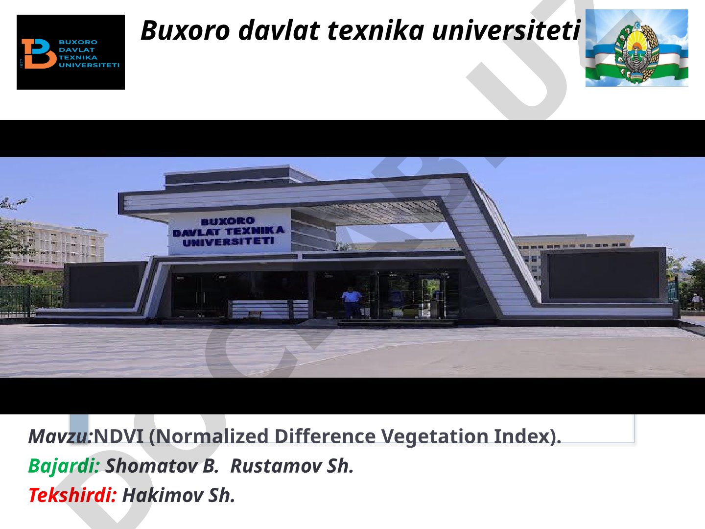 NDVI (Normalized Difference Vegetation Index)