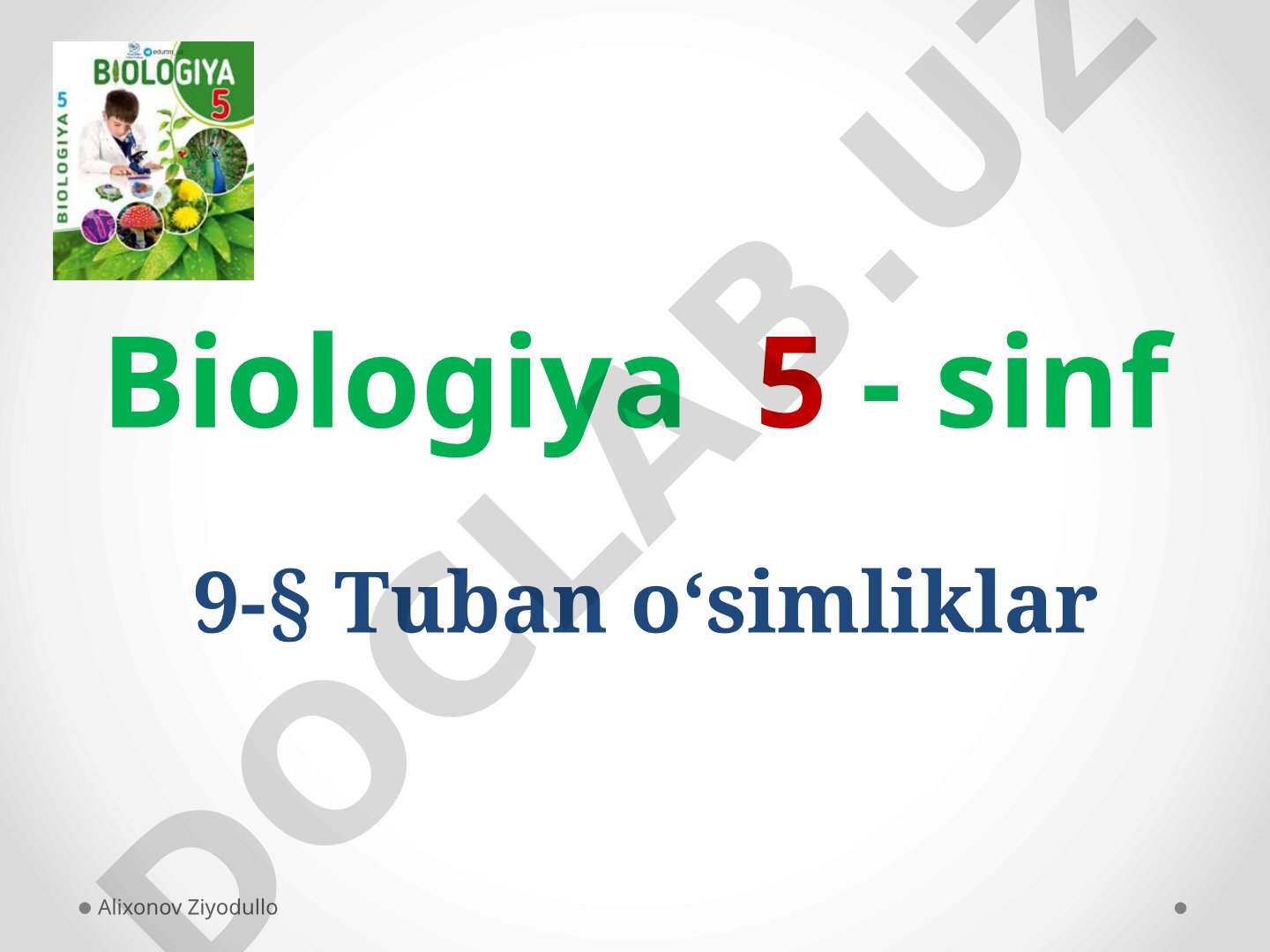 9-§ Tuban o‘simliklar