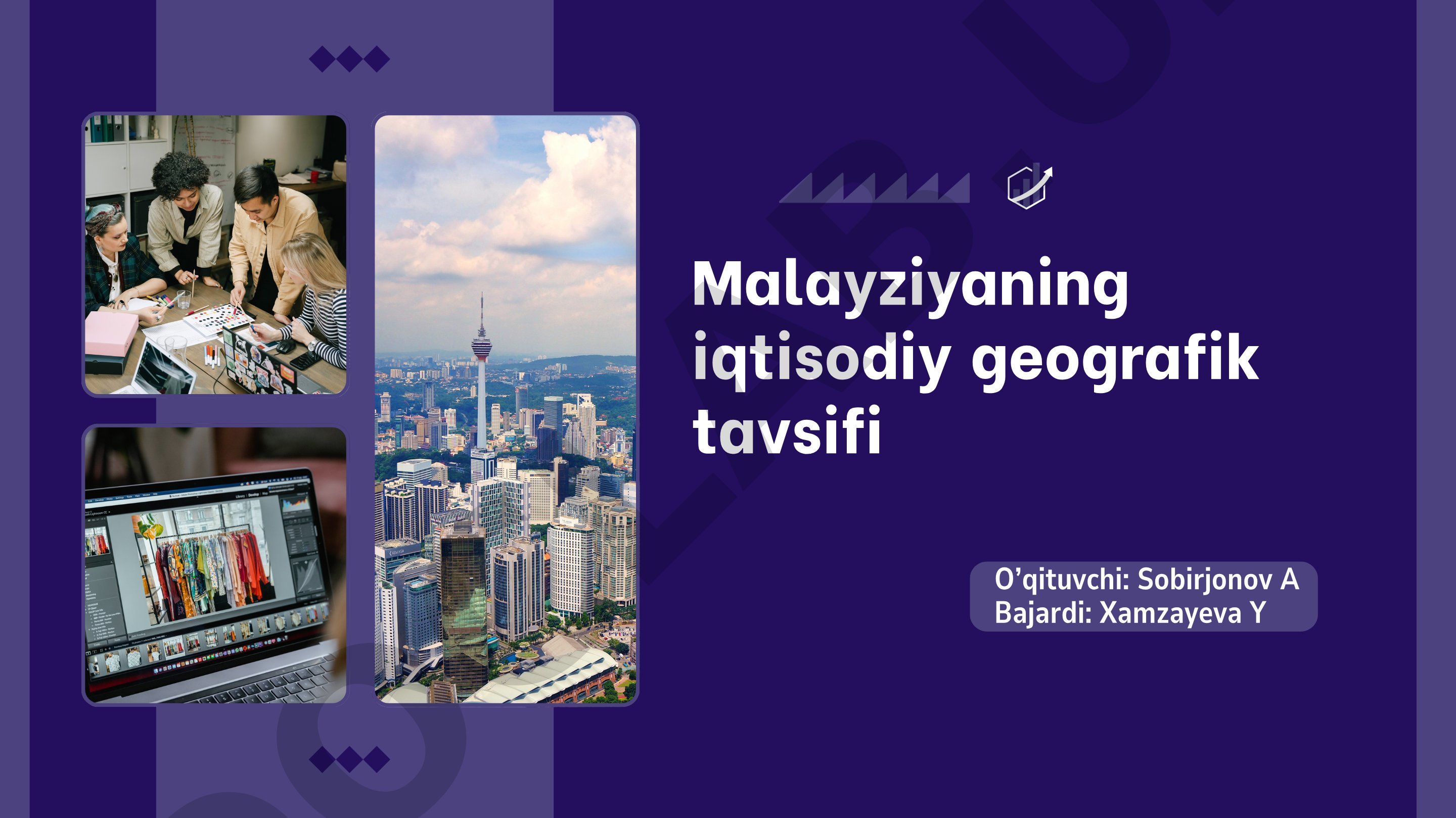 Malayziyaning iqtisodiy geografik tavsifi