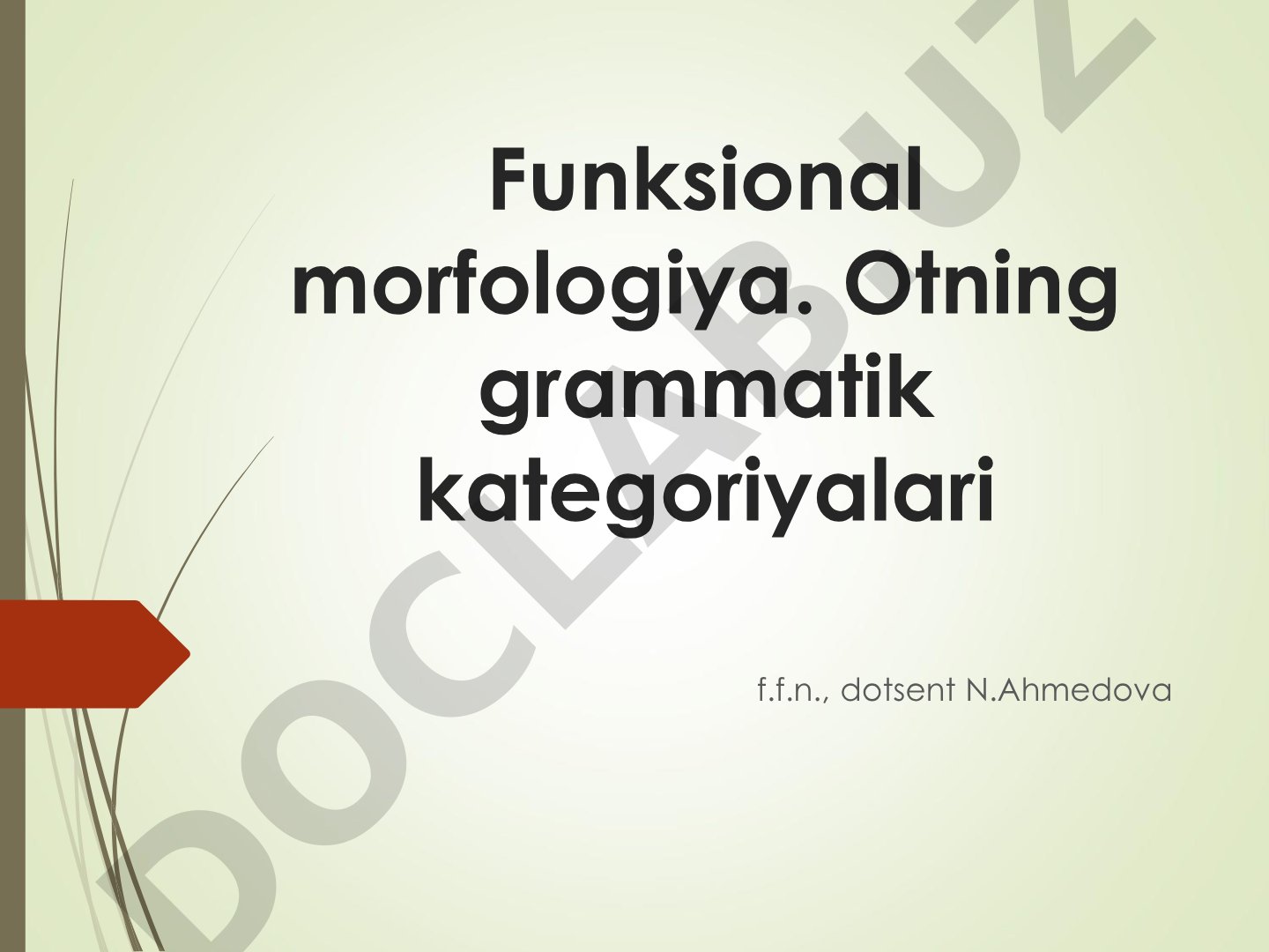 Funksional morfologiya. Otning grammatik kategoriyalari