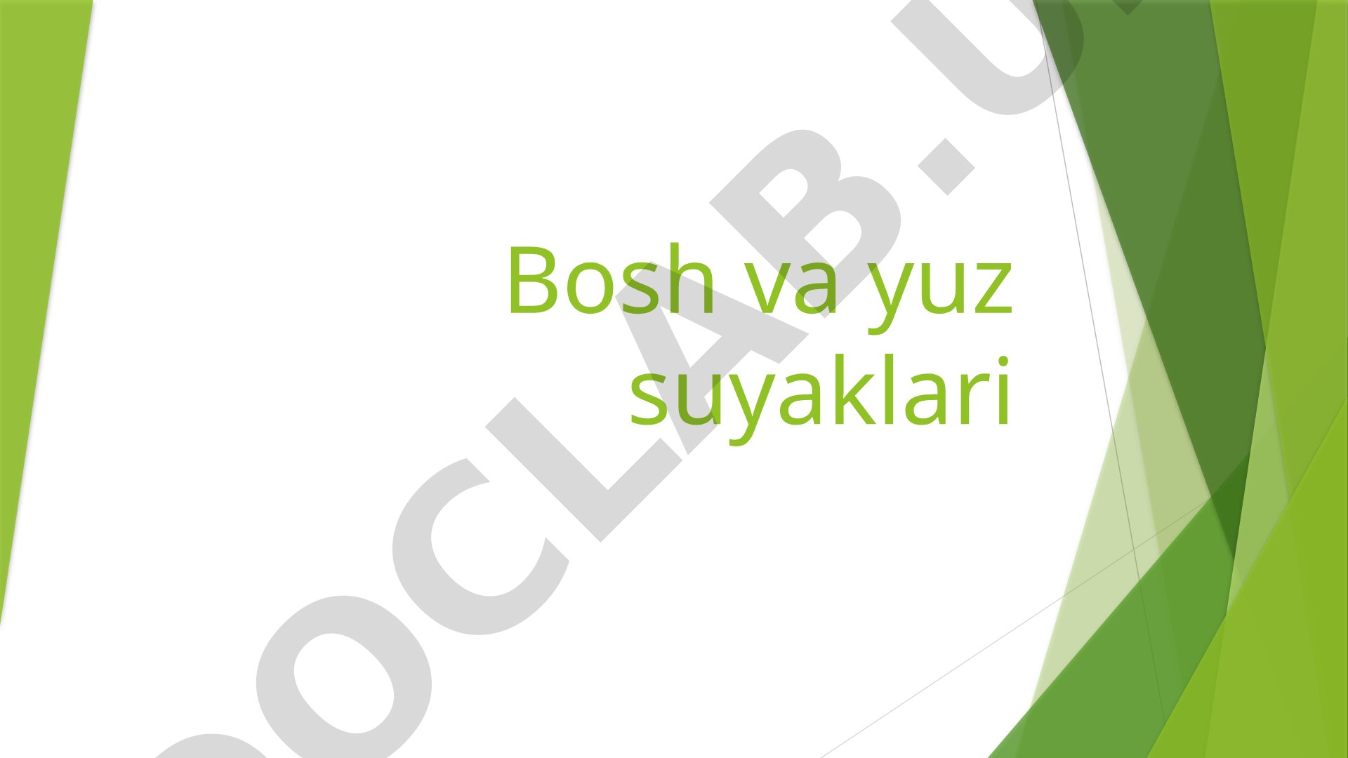 Bosh va yuz suyaklari