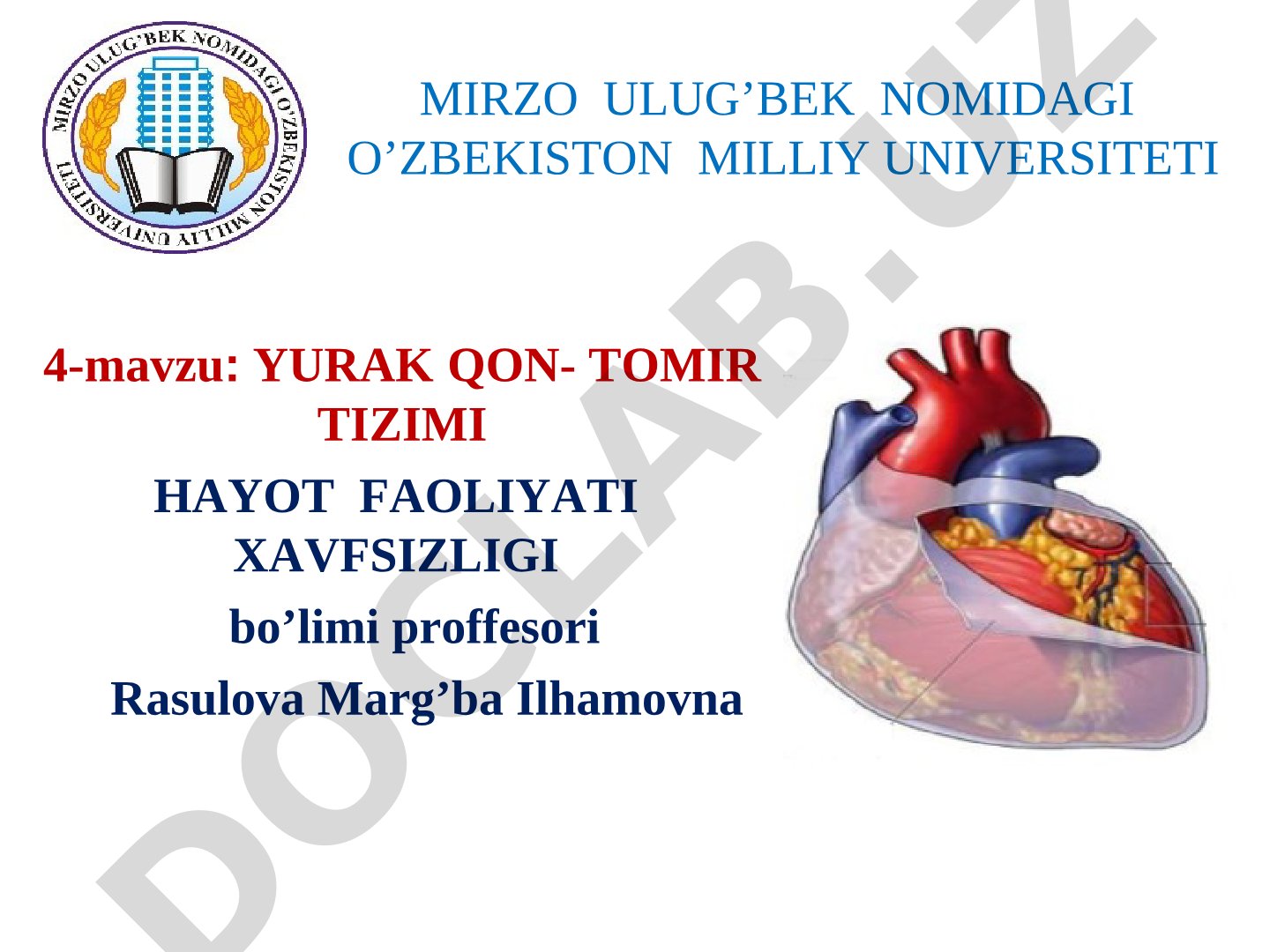 Yurak qon-tomir tizimi hayot faoliyati xavfsizligi
