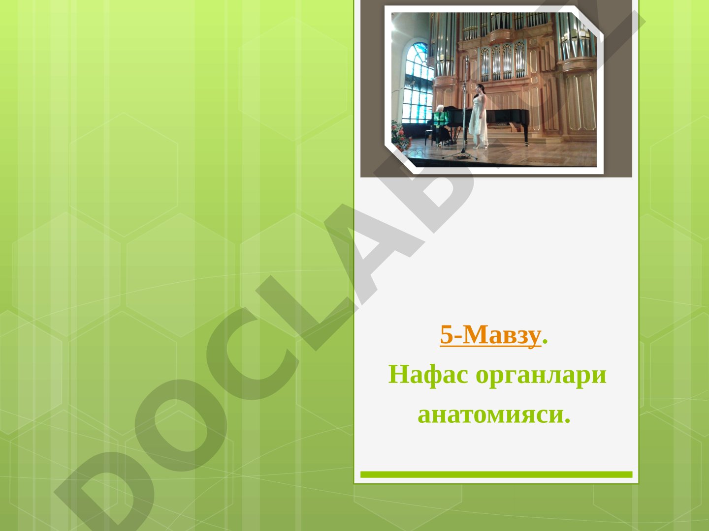 Нафас органлари анатомияси, ўпка, трахея, бронхлар ва уларнинг нафас олишдаги роли