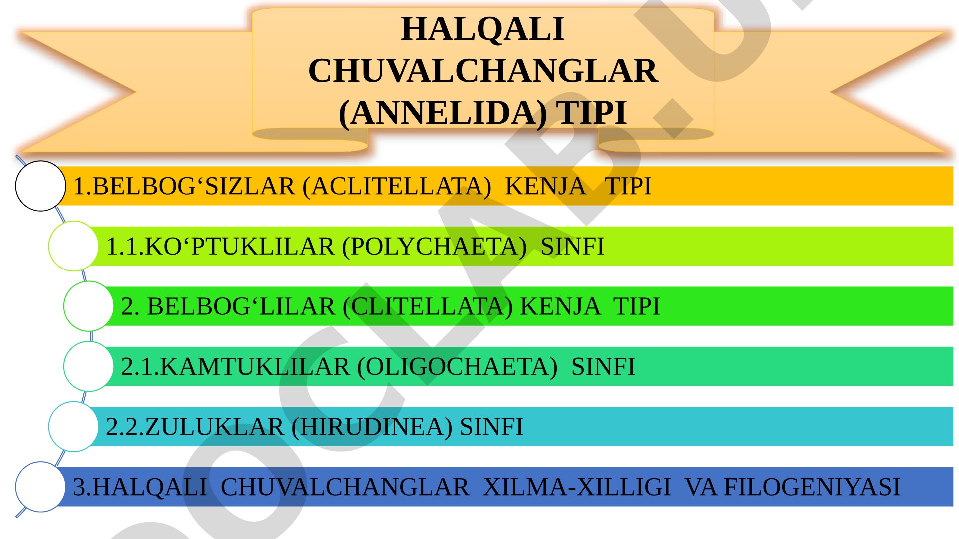 Halqali chuvalchanglar tipi va uning sistematikasi