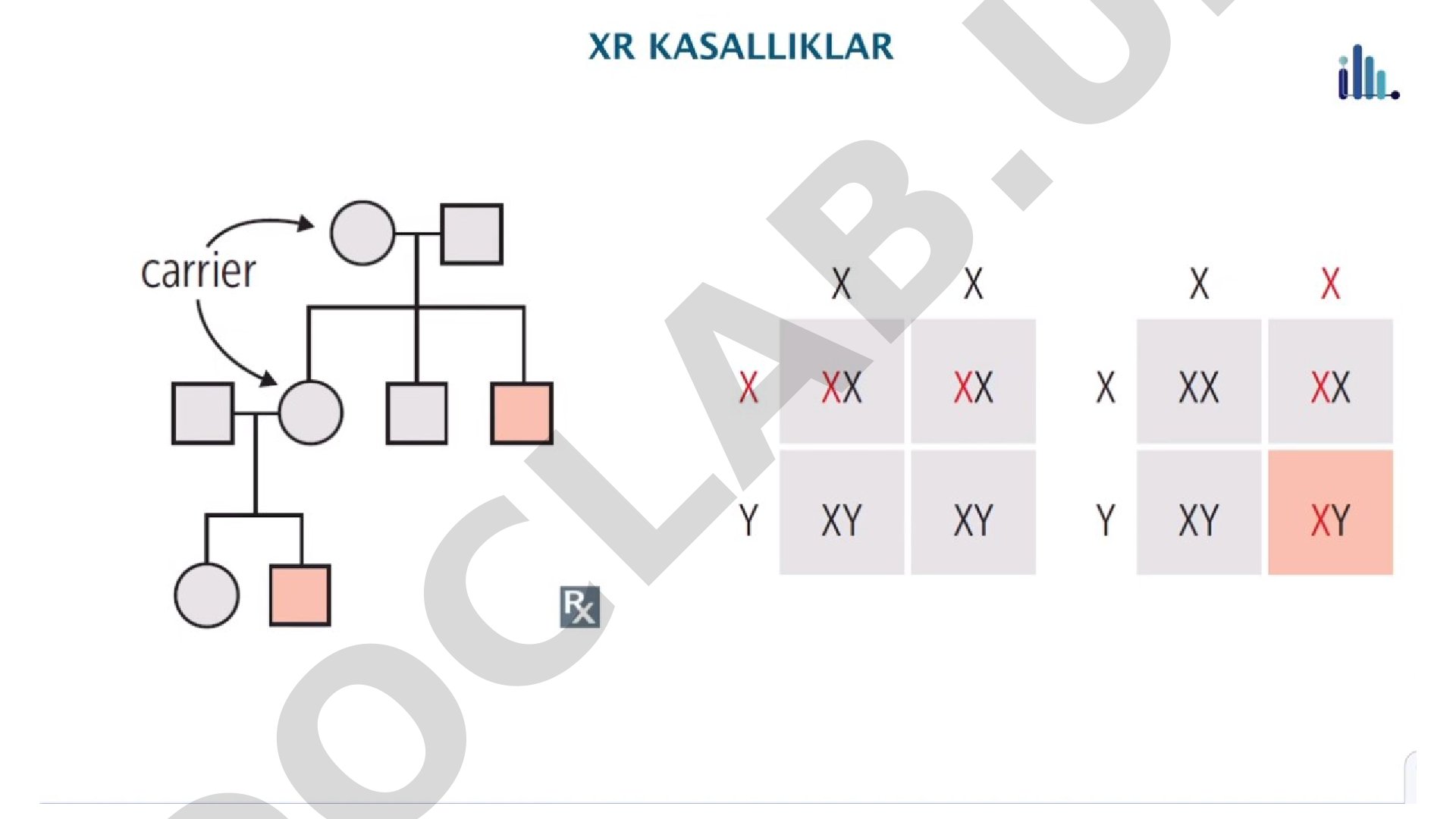 Rasmli slaydlar