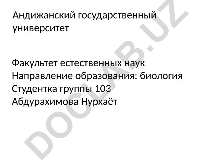 Лексика русского языка: происхождение, группы и особенности