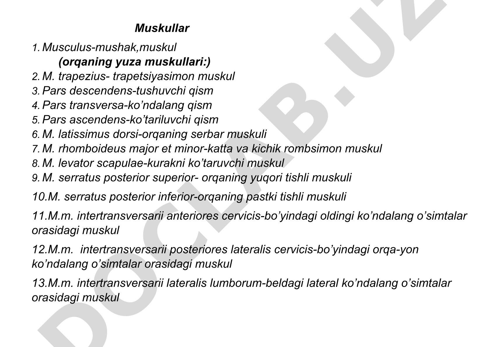 Orqa muskullarining lotincha va o'zbekcha nomlari berilgan ro'yxat