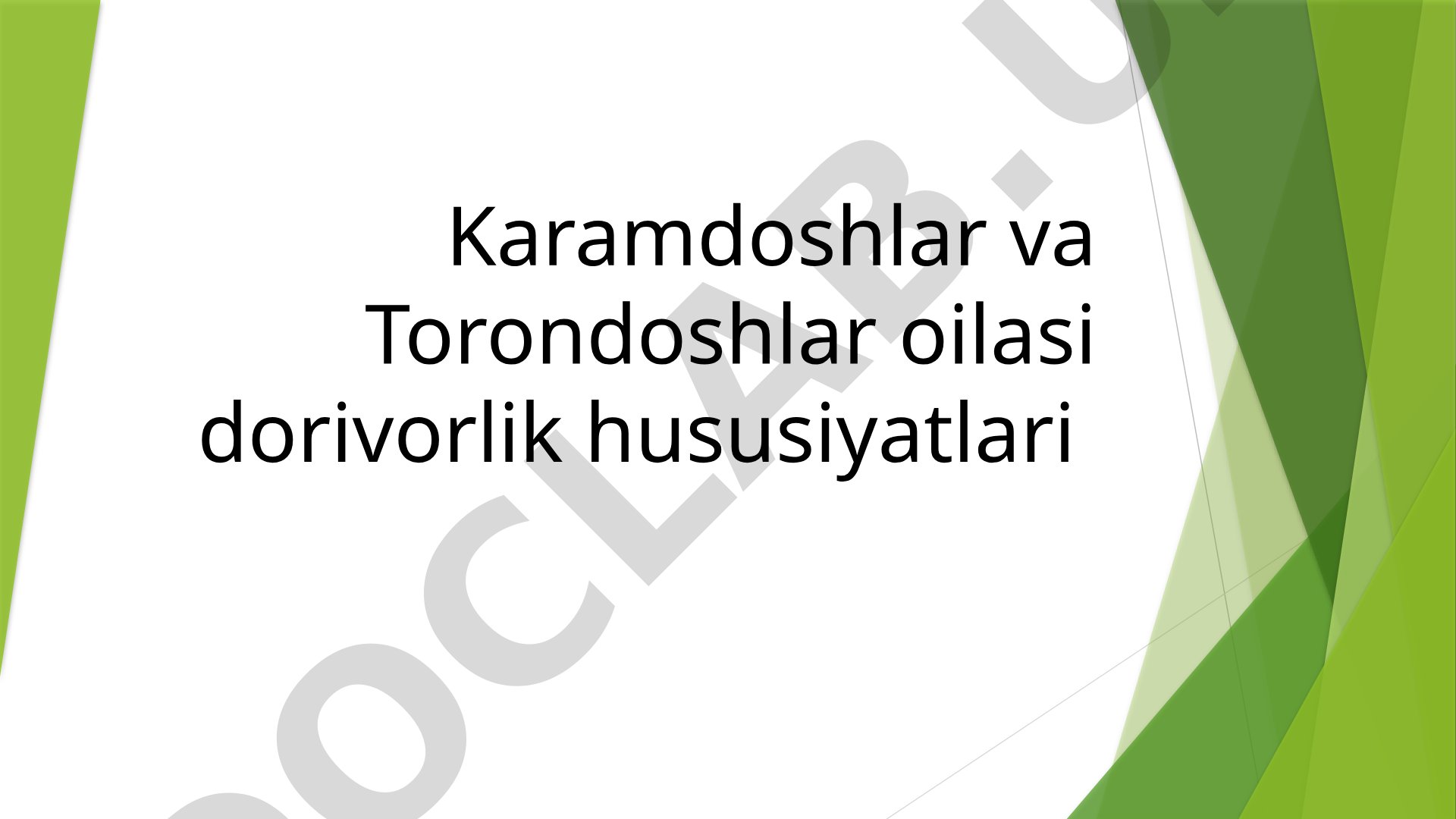 Karamdoshlar va torondoshlar oilasi dorivor xususiyatlari