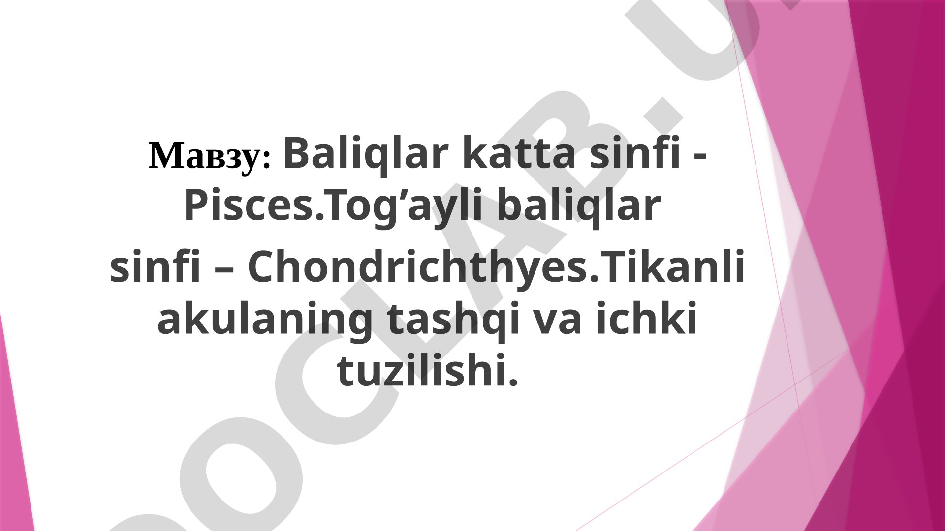 Baliqlar katta sinfi Pisces, Tog'ayli baliqlar sinfi Chondrichthyes, Tikanli akulaning tashqi va ichki tuzilishi
