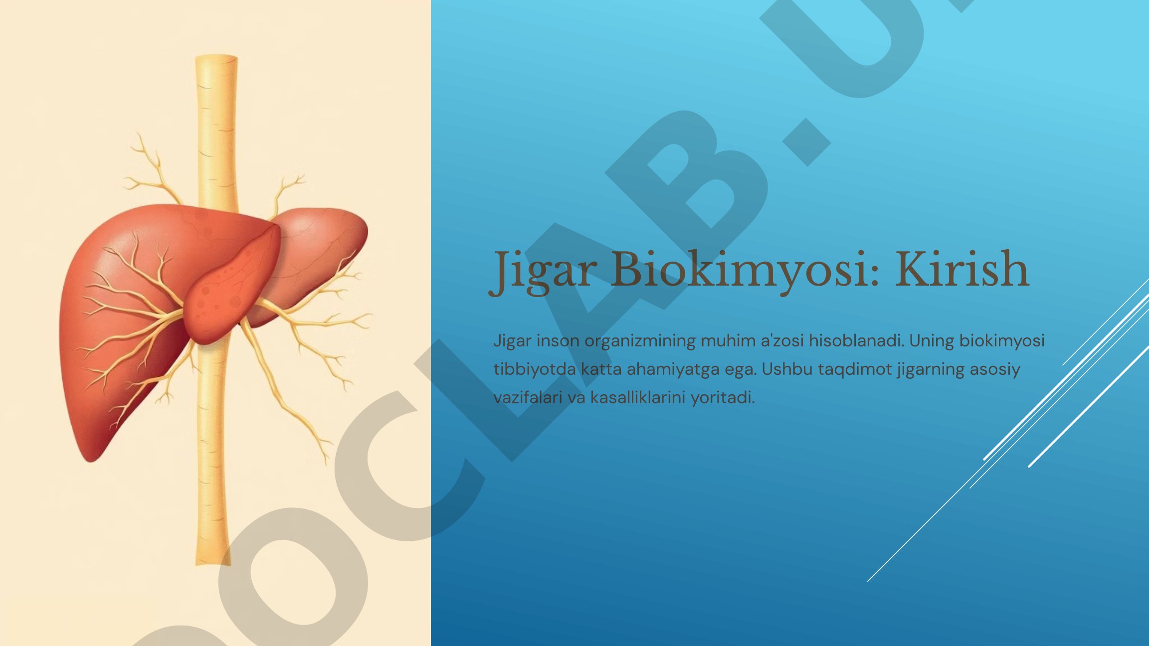 Jigar Biokimyosi