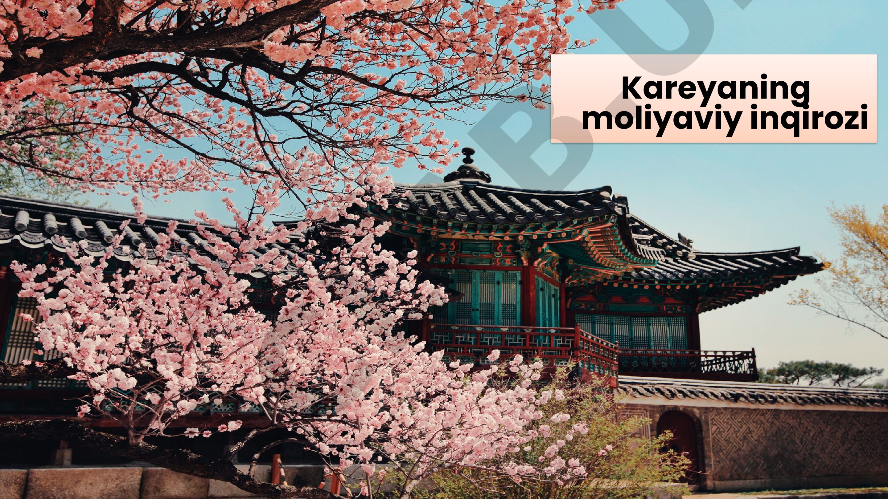 Kareyaning moliyaviy inqirozi