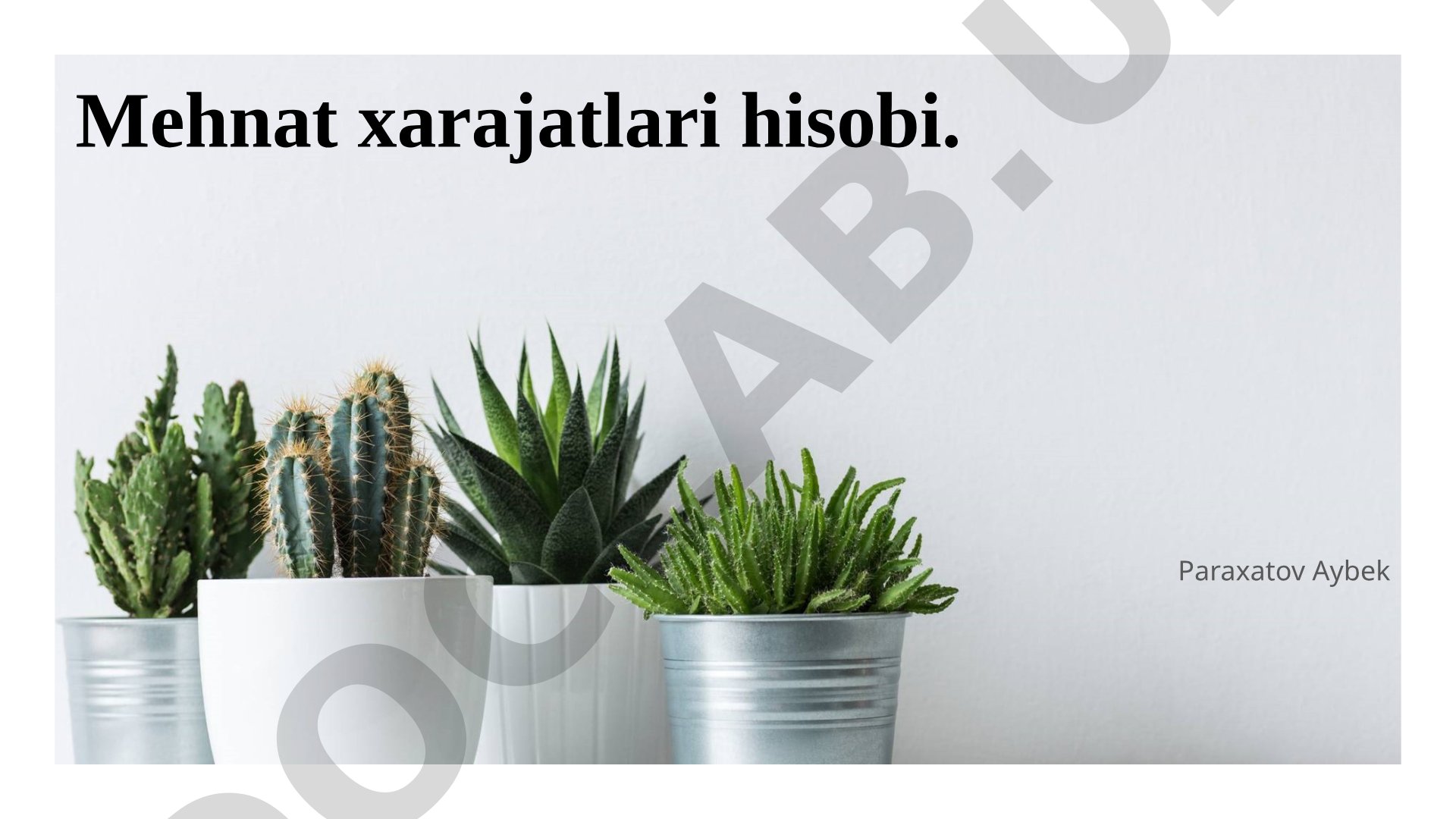 Mehnat xarajatlari hisobi, turlari, hisoblash usullari va samaradorlikni oshirish