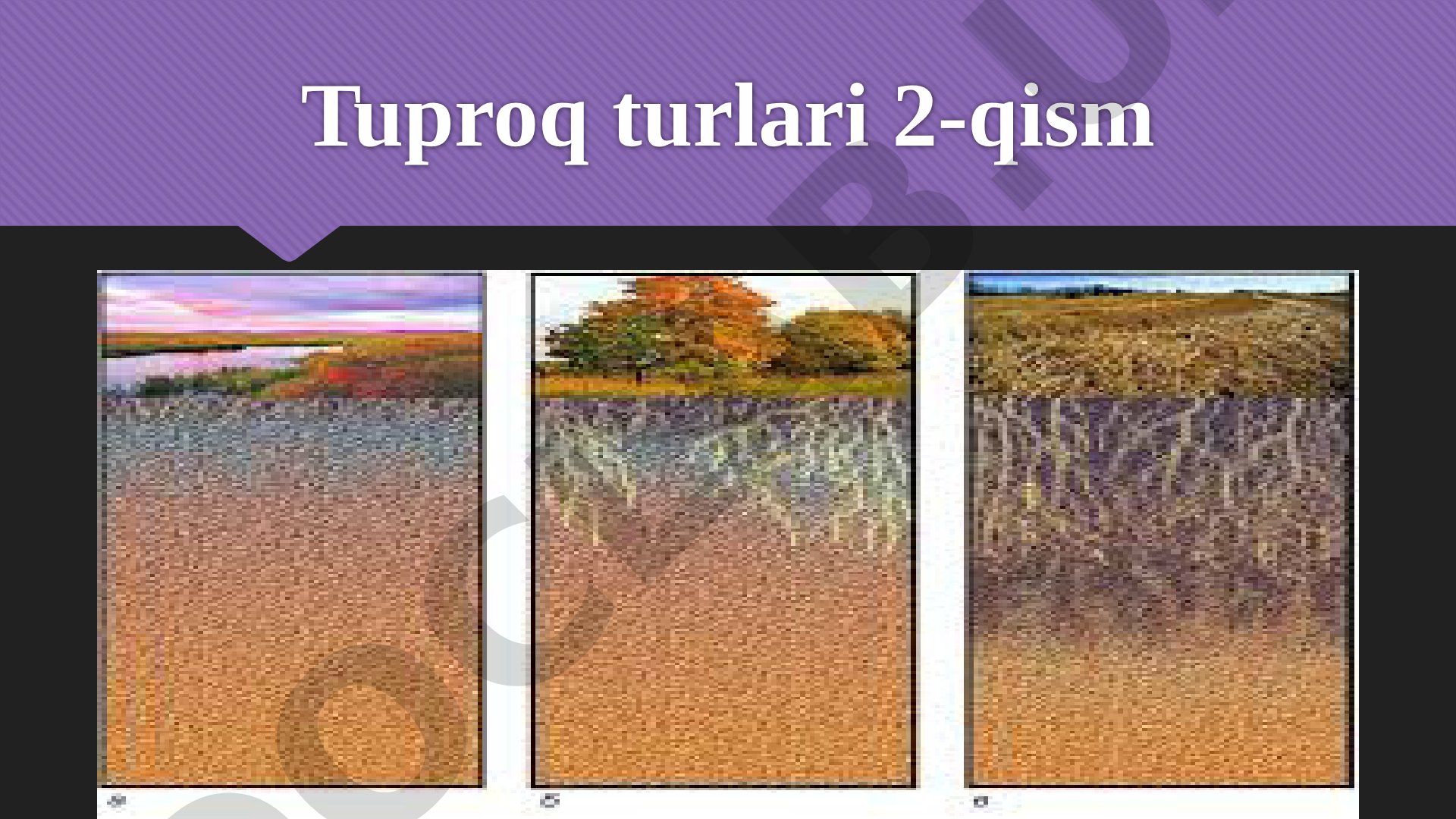 Tuproq turlari 2-qism