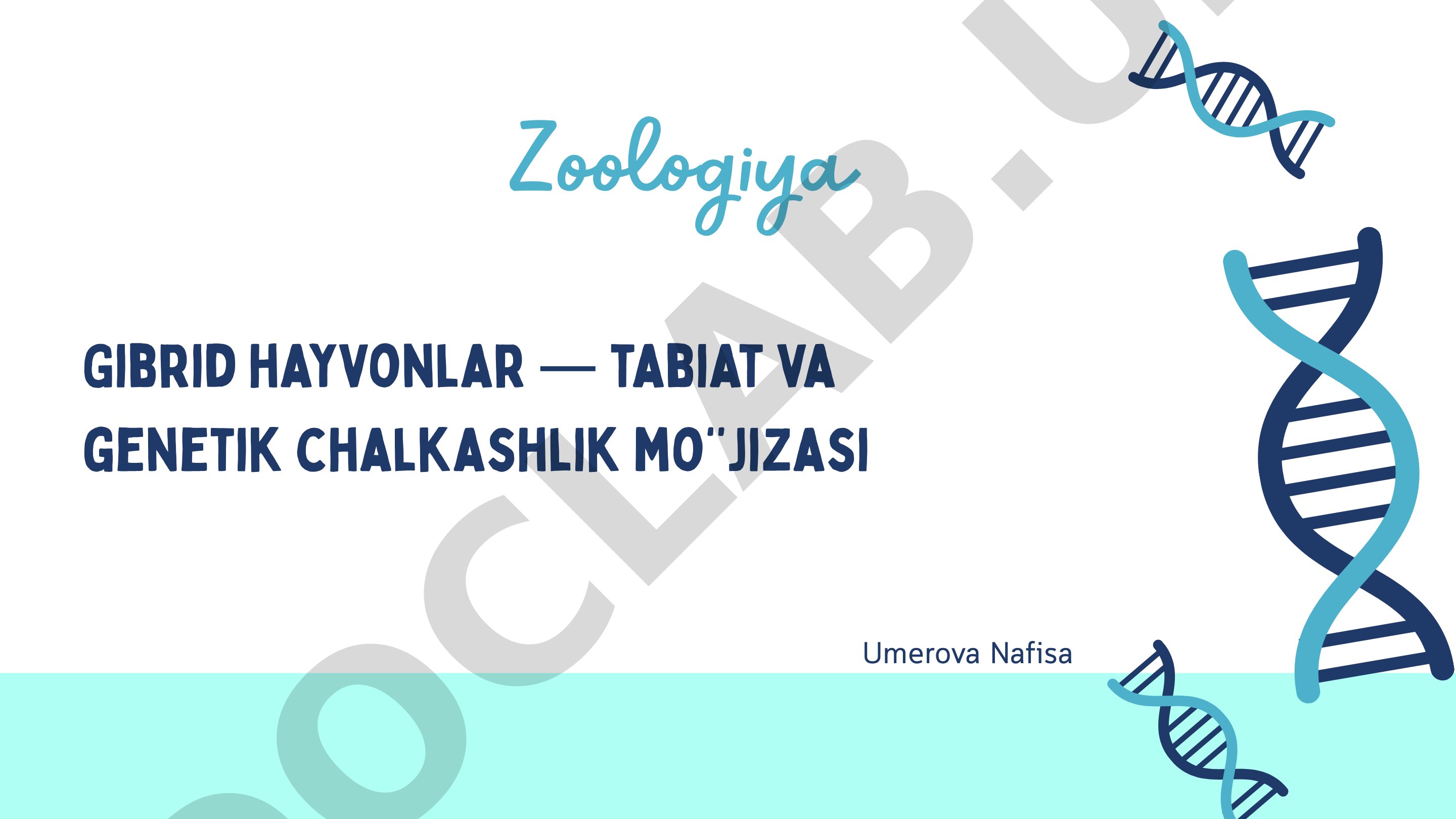 Gibrid hayvonlar — tabiat va genetik chalkashlik mo‘jizasi
