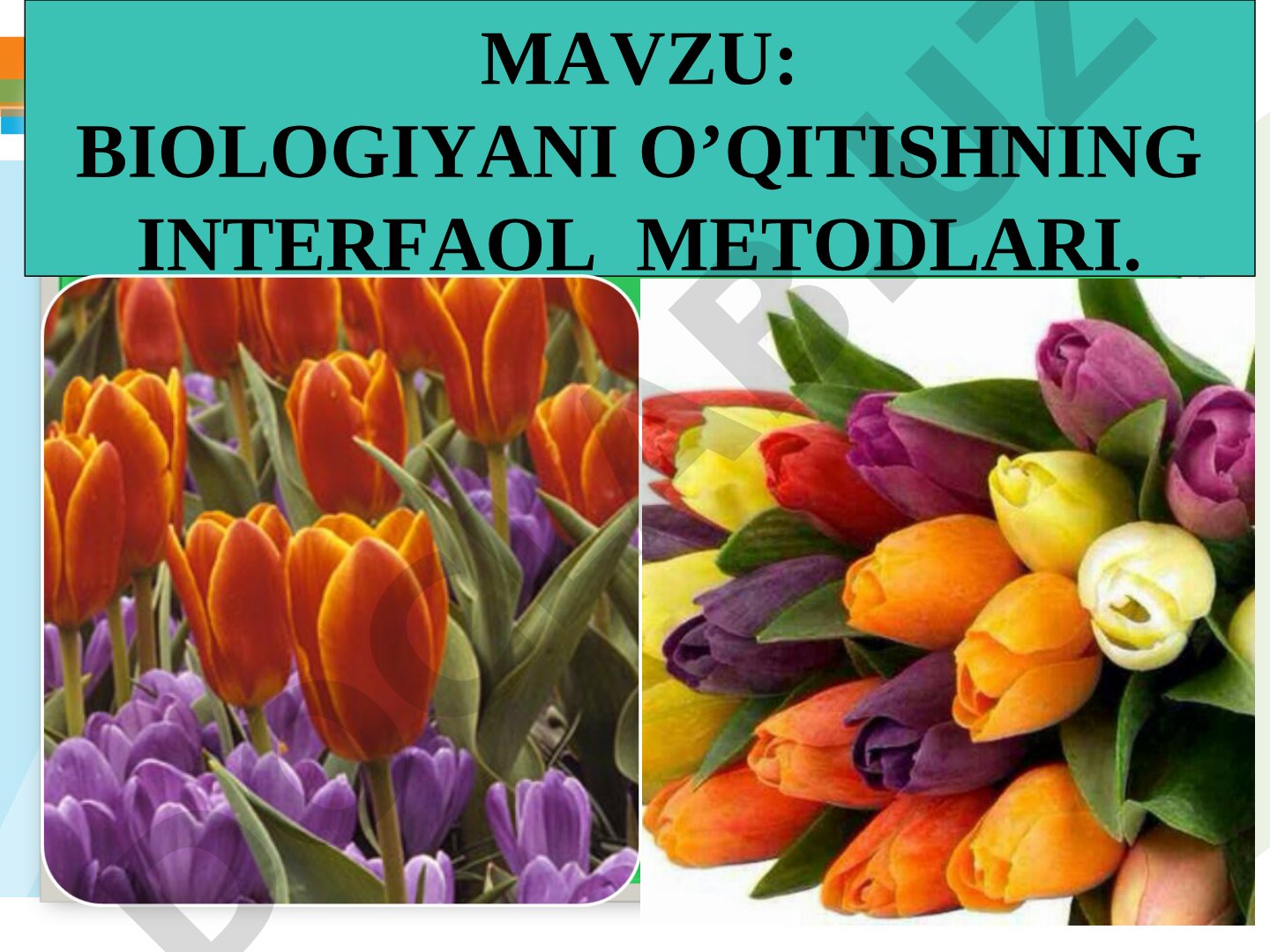Biologiyani o'qitishning interfaol metodlari