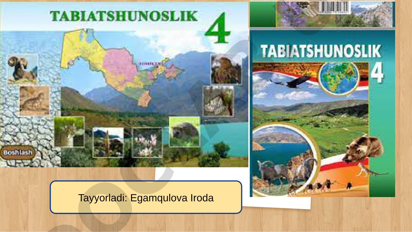 Yer va uning shakli globus