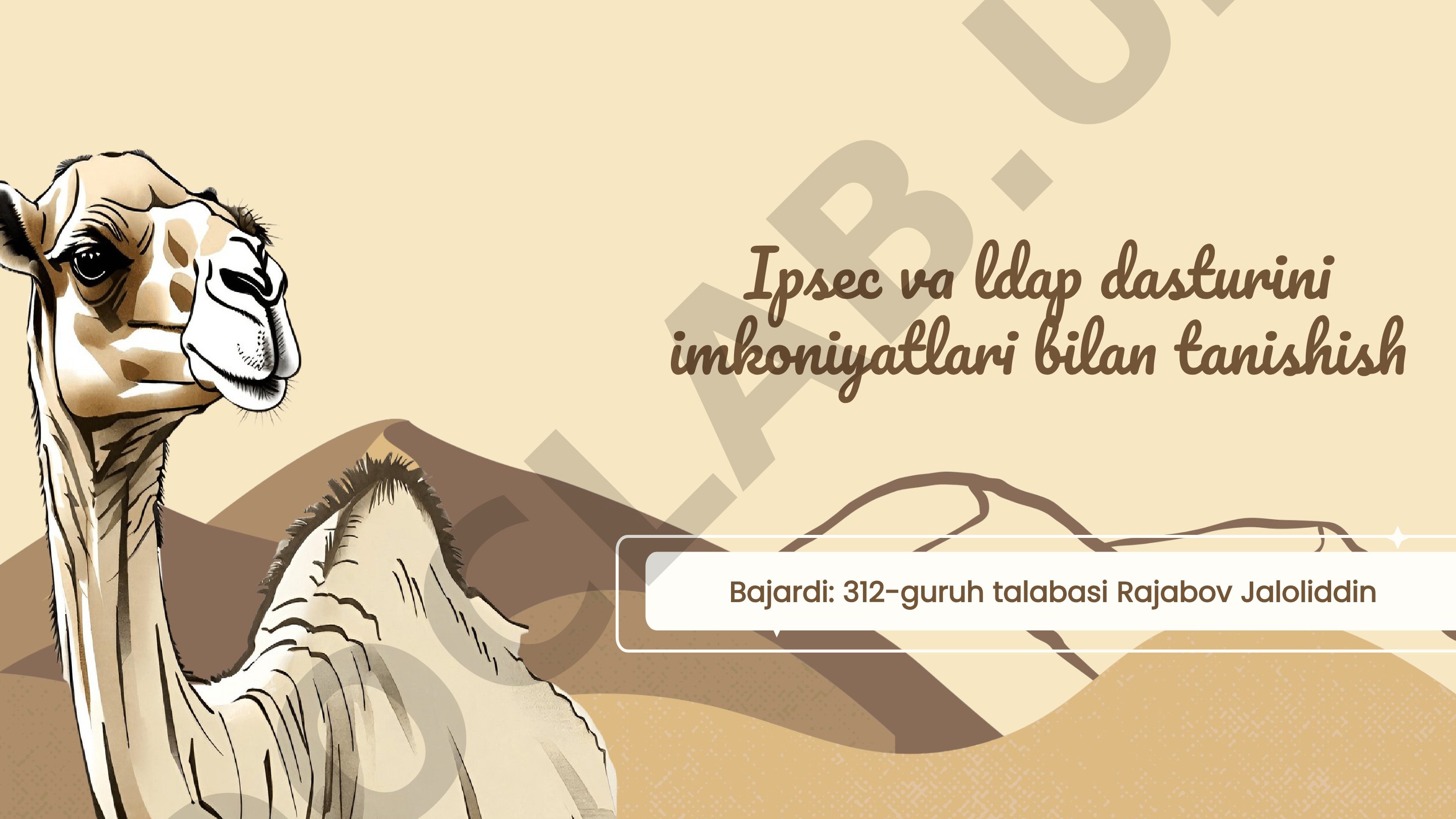 Ipsec va ldap dasturini imkoniyatlari bilan tanishish