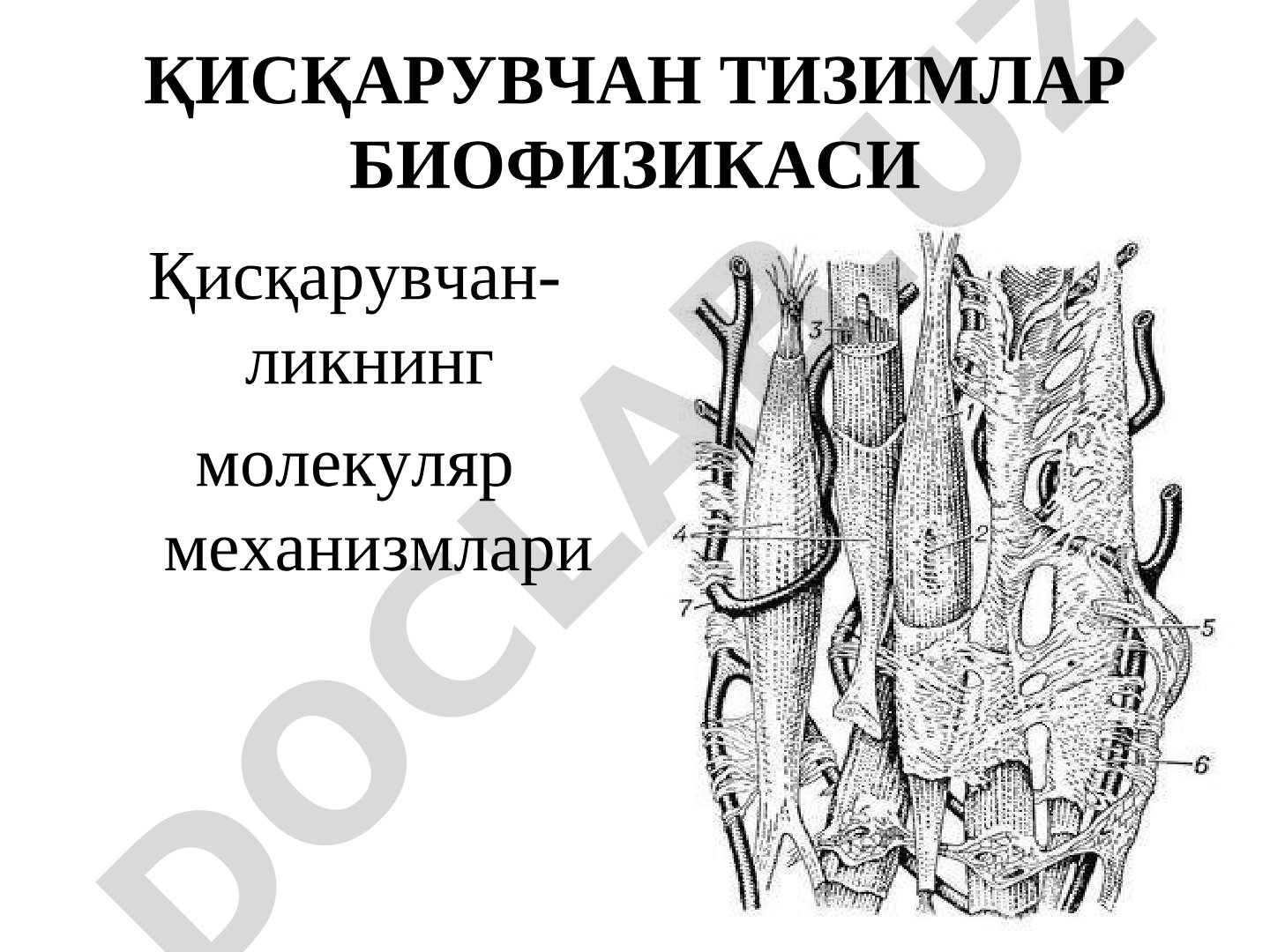 ҚИСҚАРУВЧАН ТИЗИМЛАР БИОФИЗИКАСИ