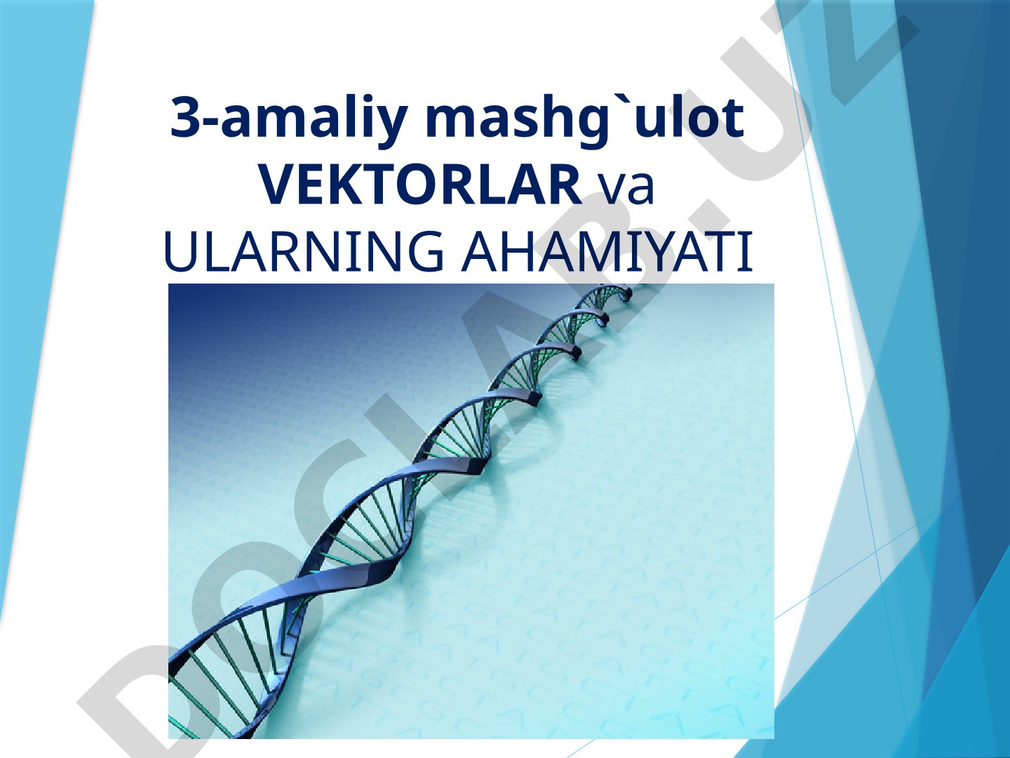 Vektorlar va ularning ahamiyati