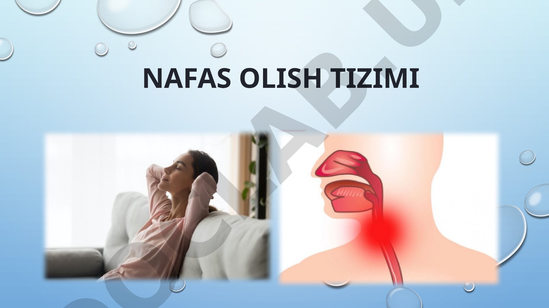 Nafas olish tizimi
