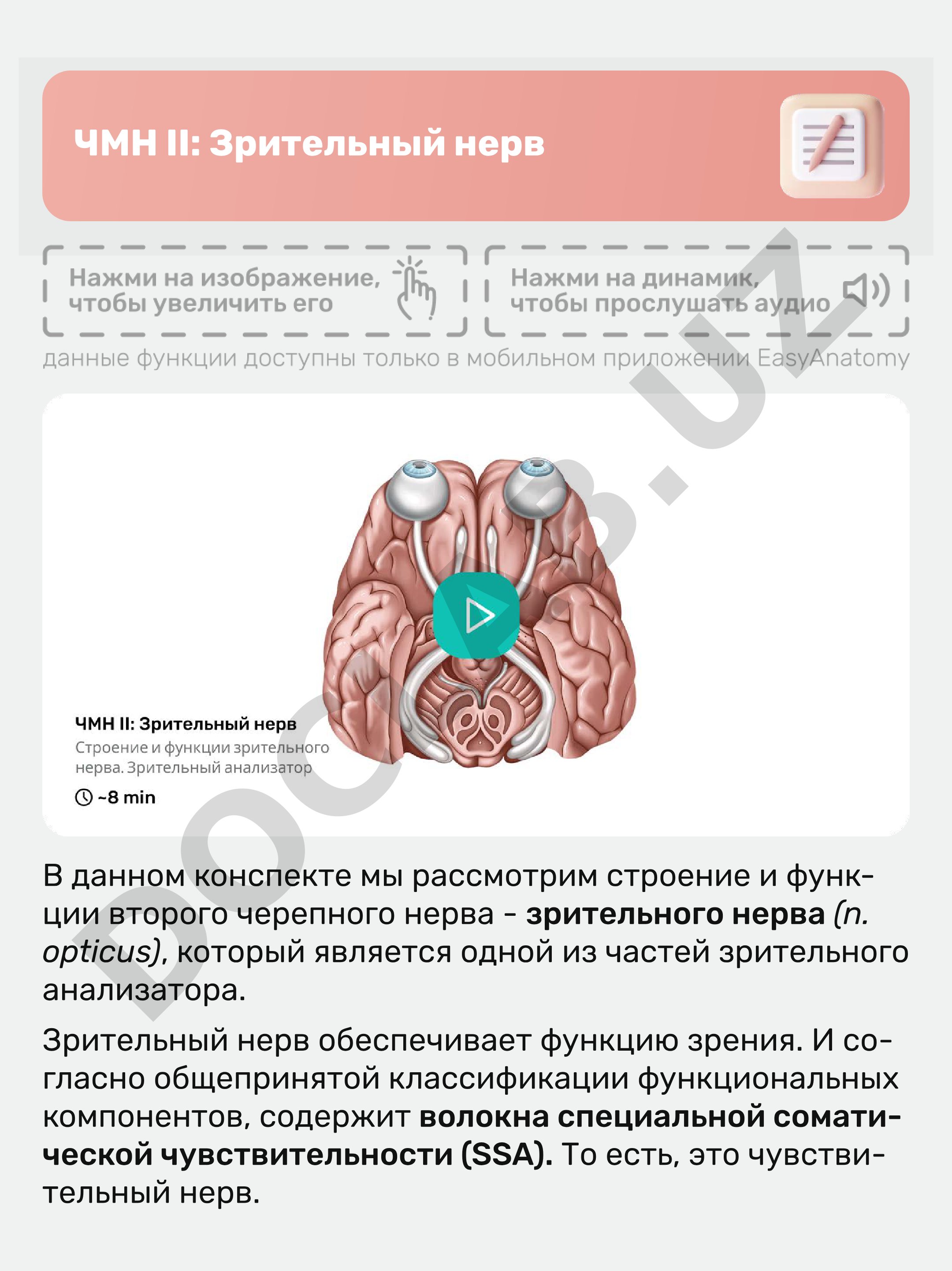 ЧМН II: Зрительный нерв