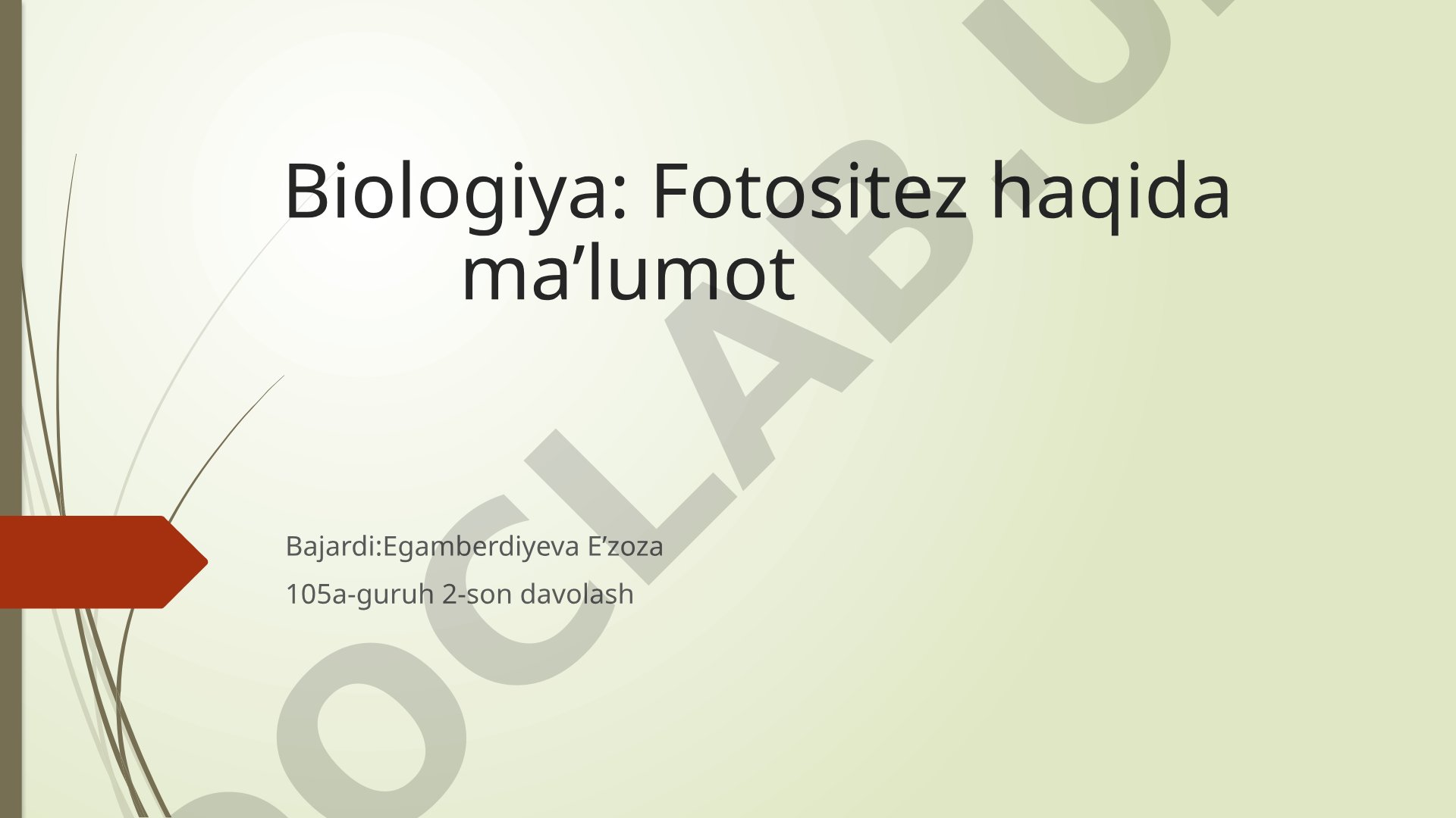 Biologiya: Fotositez haqida ma’lumot