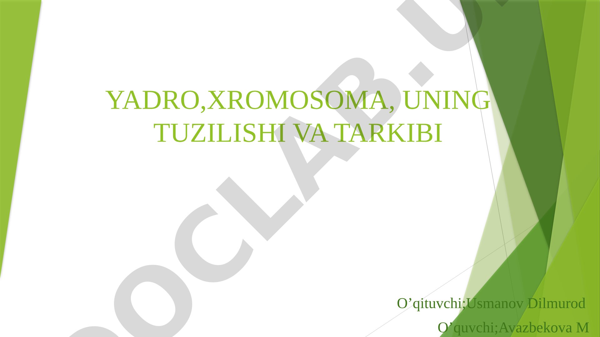 Yadro, xromosoma, uning tuzilishi va tarkibi